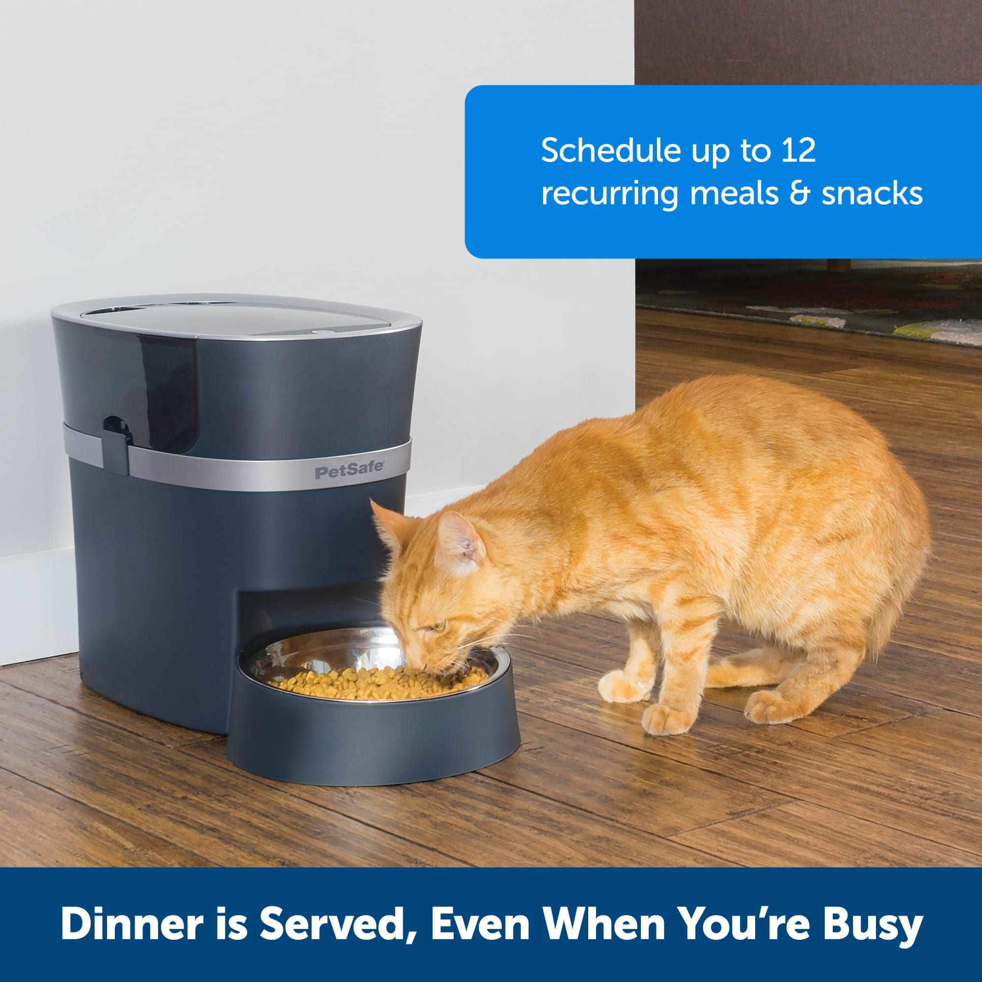 Automatic food clearance bowl for cats