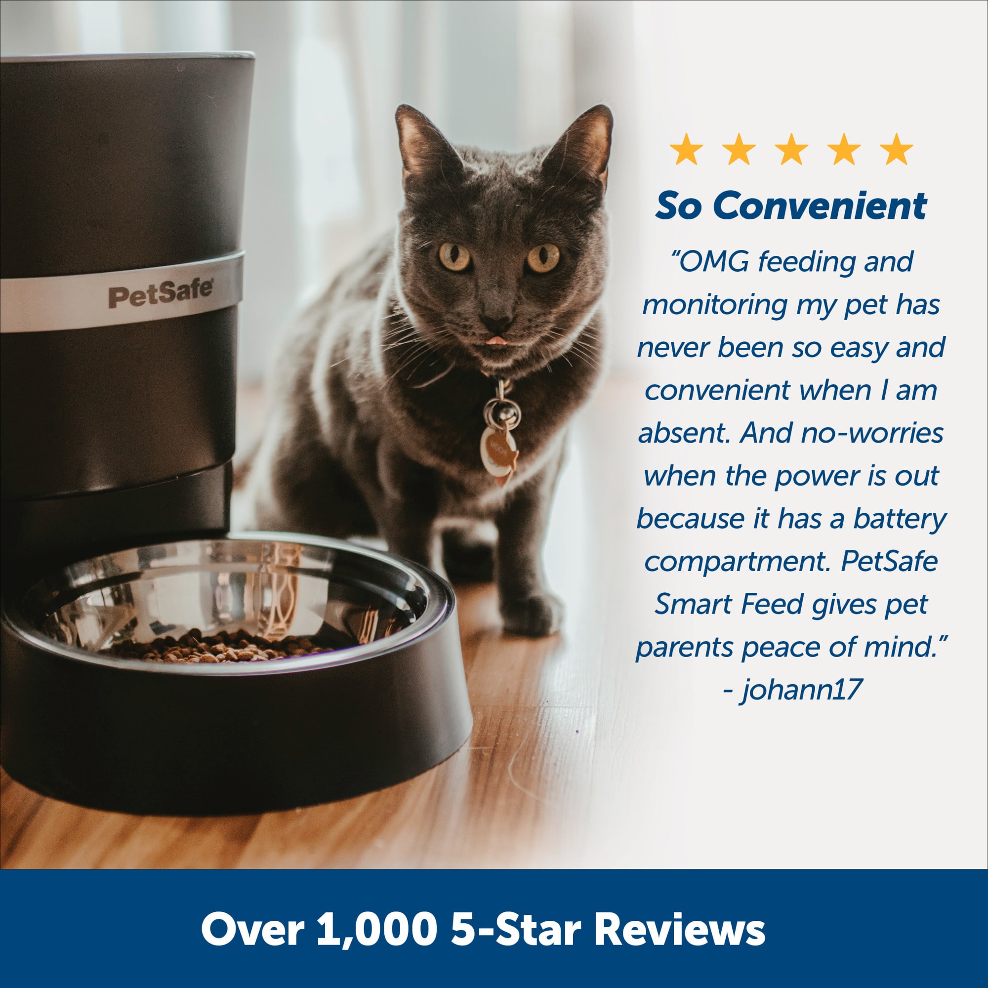 PetSafe Smart Feed Automatic Pet Feeder App Control