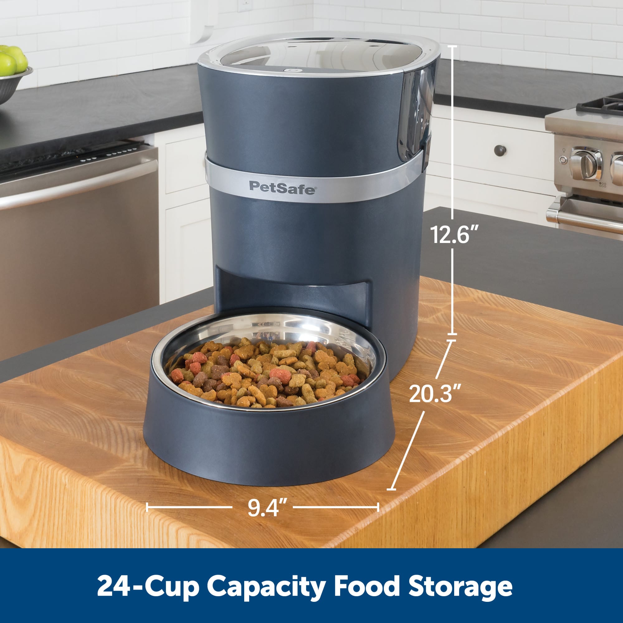 Automatic dog 2024 feeder petco