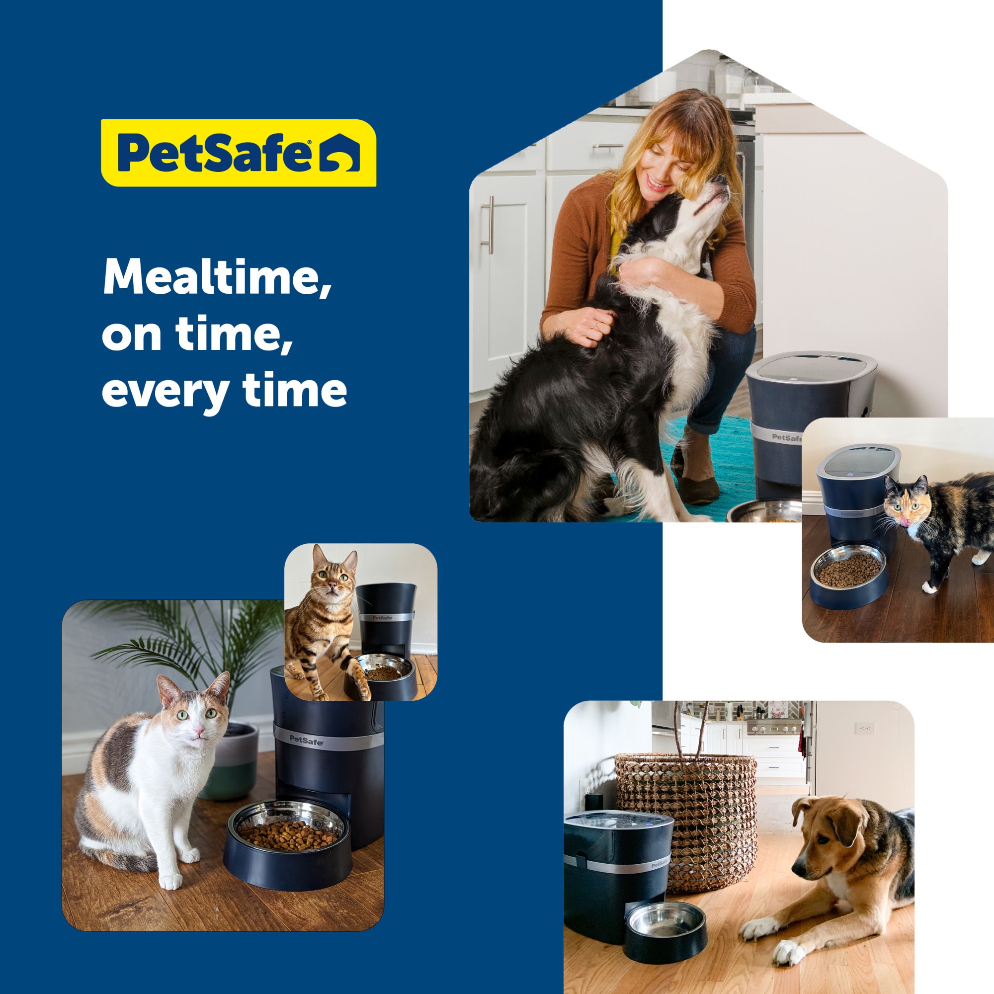 PetSafe Smart Feed Automatic Dog and Cat Feeder Petco