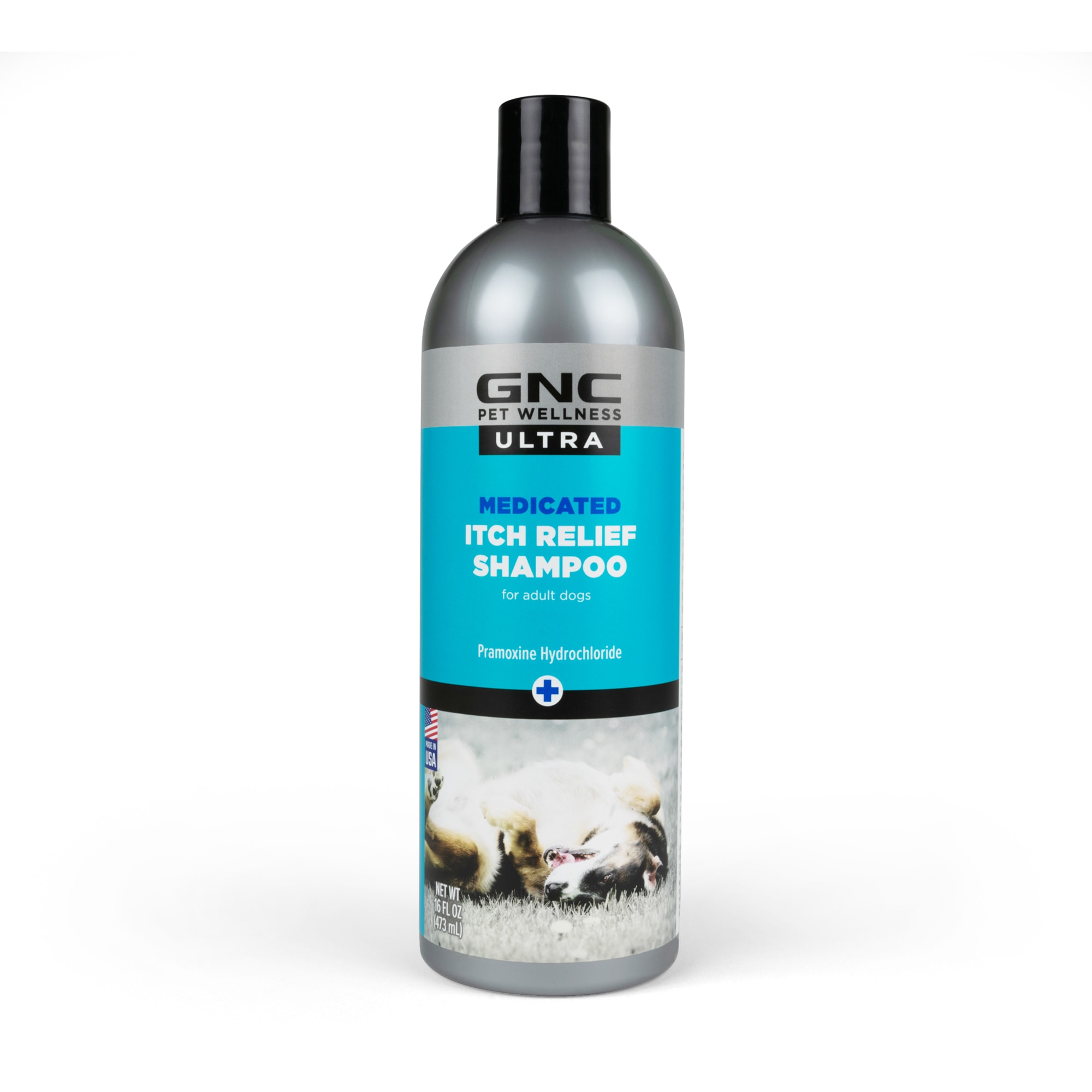 medicated shampoo for itchy dogs