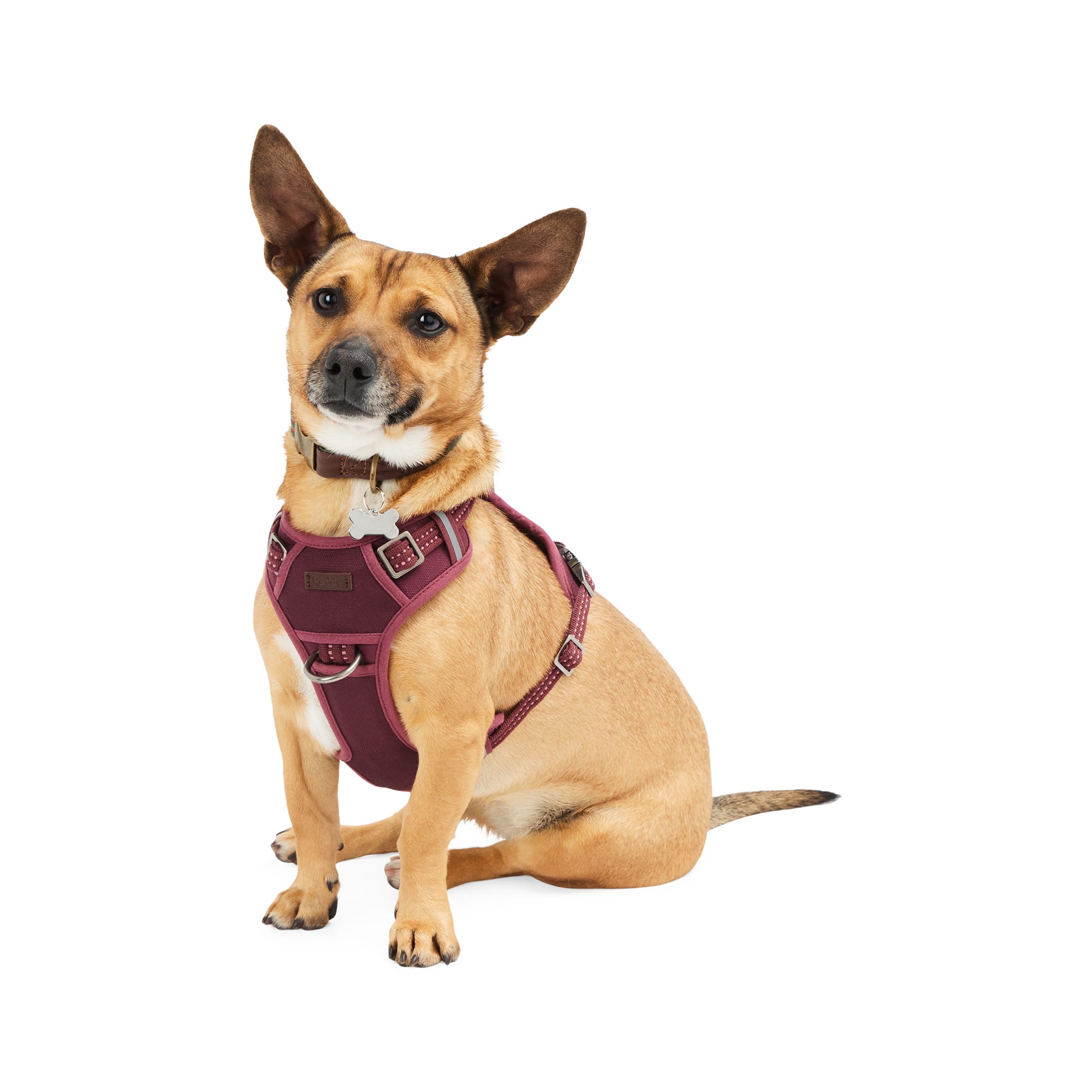 Reddy Burgundy Canvas Dog Harness, Medium 