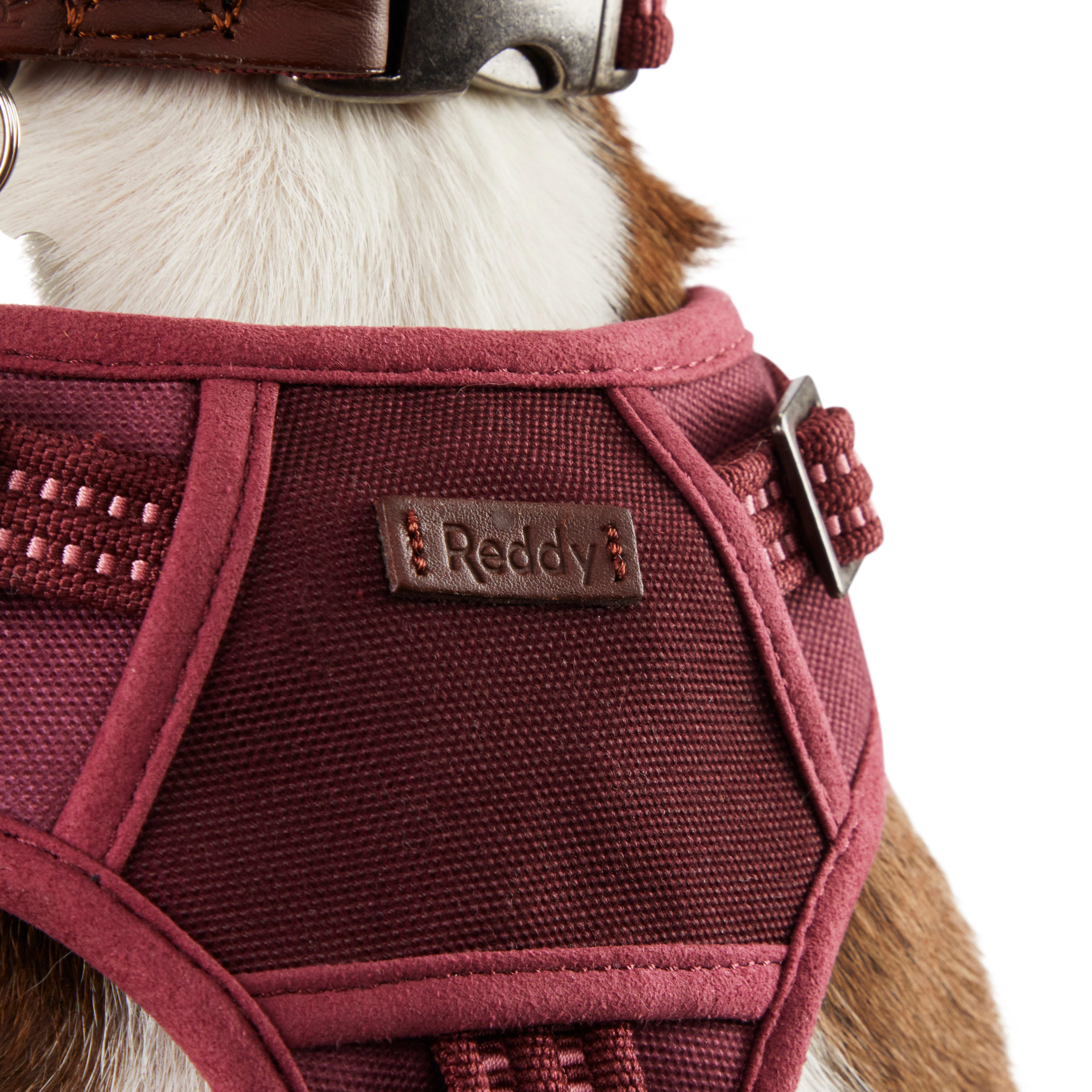 Reddy Burgundy Canvas Dog Harness, Medium