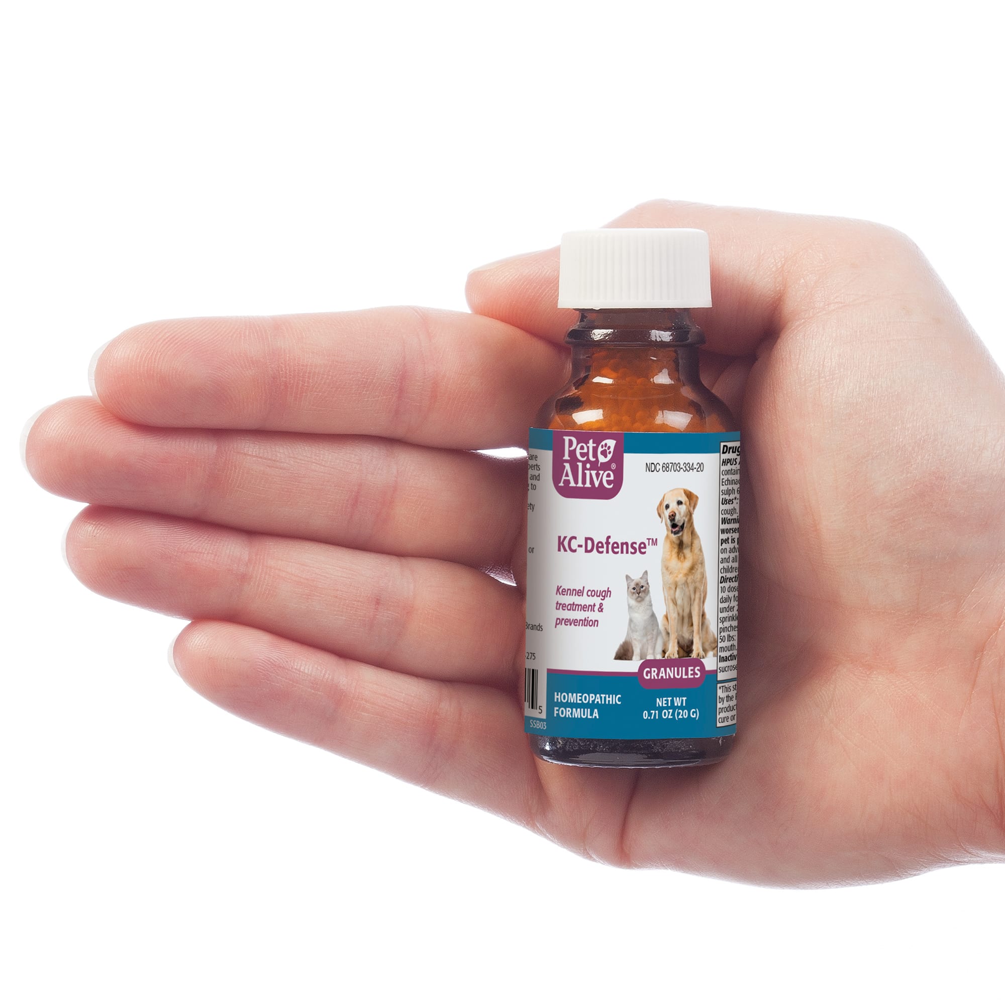 petco kennel cough medicine