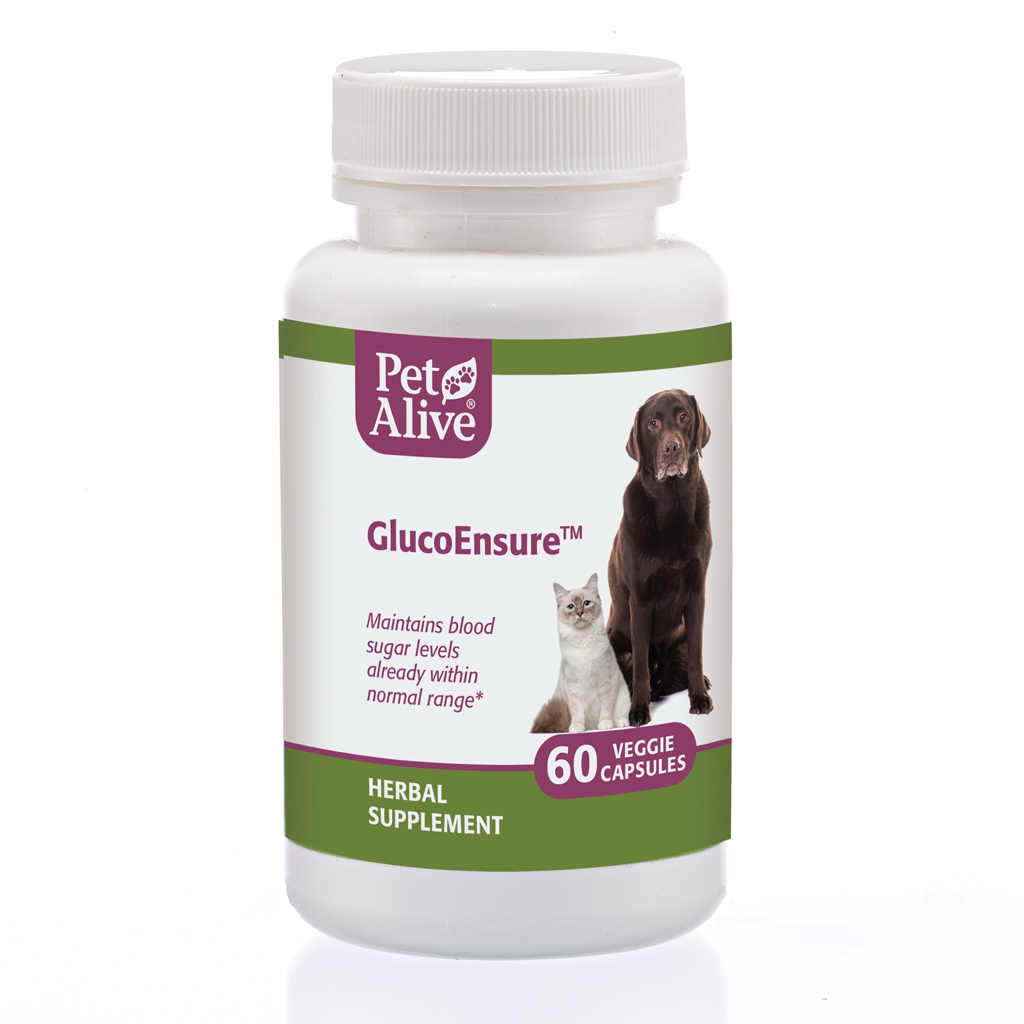 UPC 810845012508 product image for PetAlive GlucoEnsure Veggie Capsules Natural Herbal Supplement for Blood Sugar S | upcitemdb.com