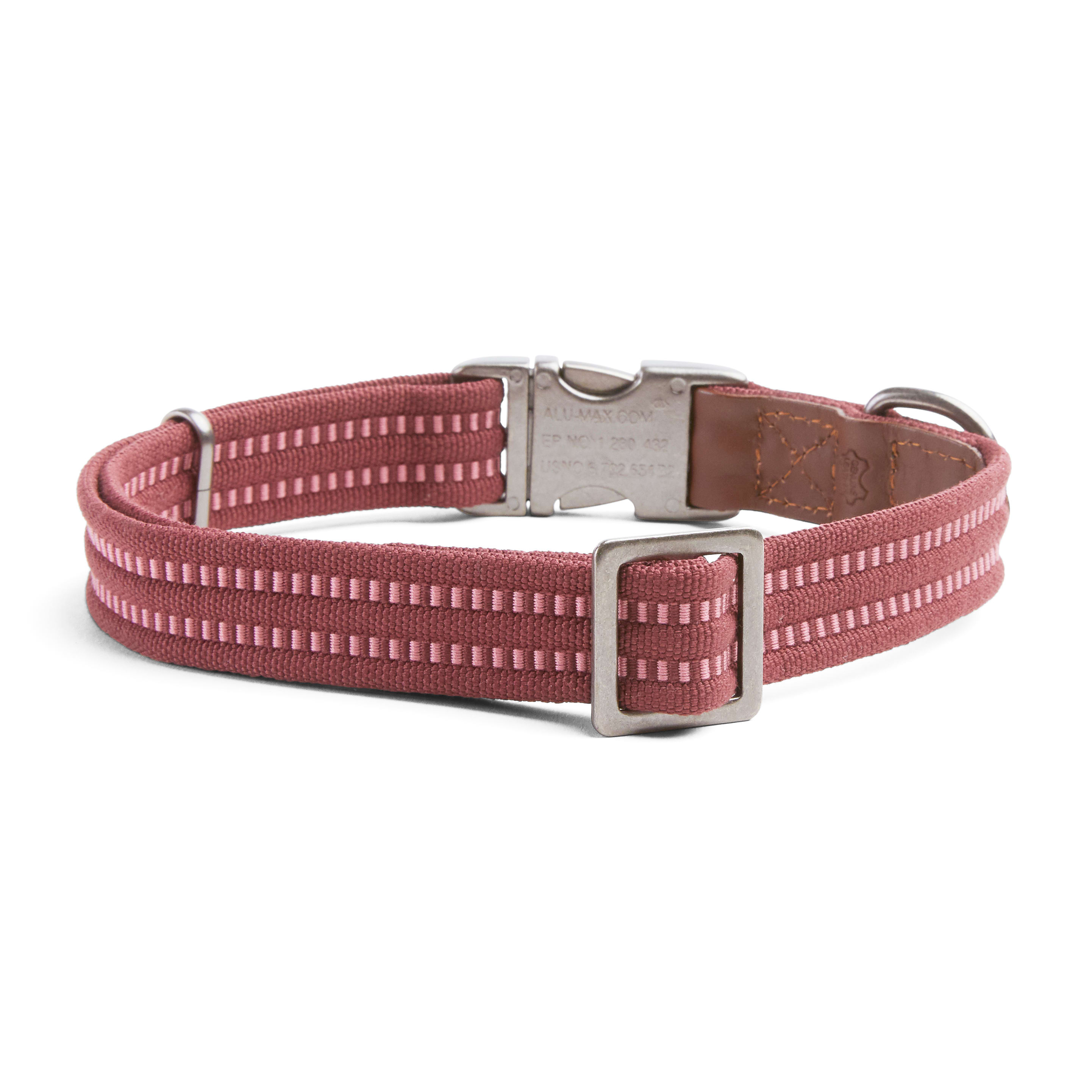 Reddy webbed 2024 dog collar