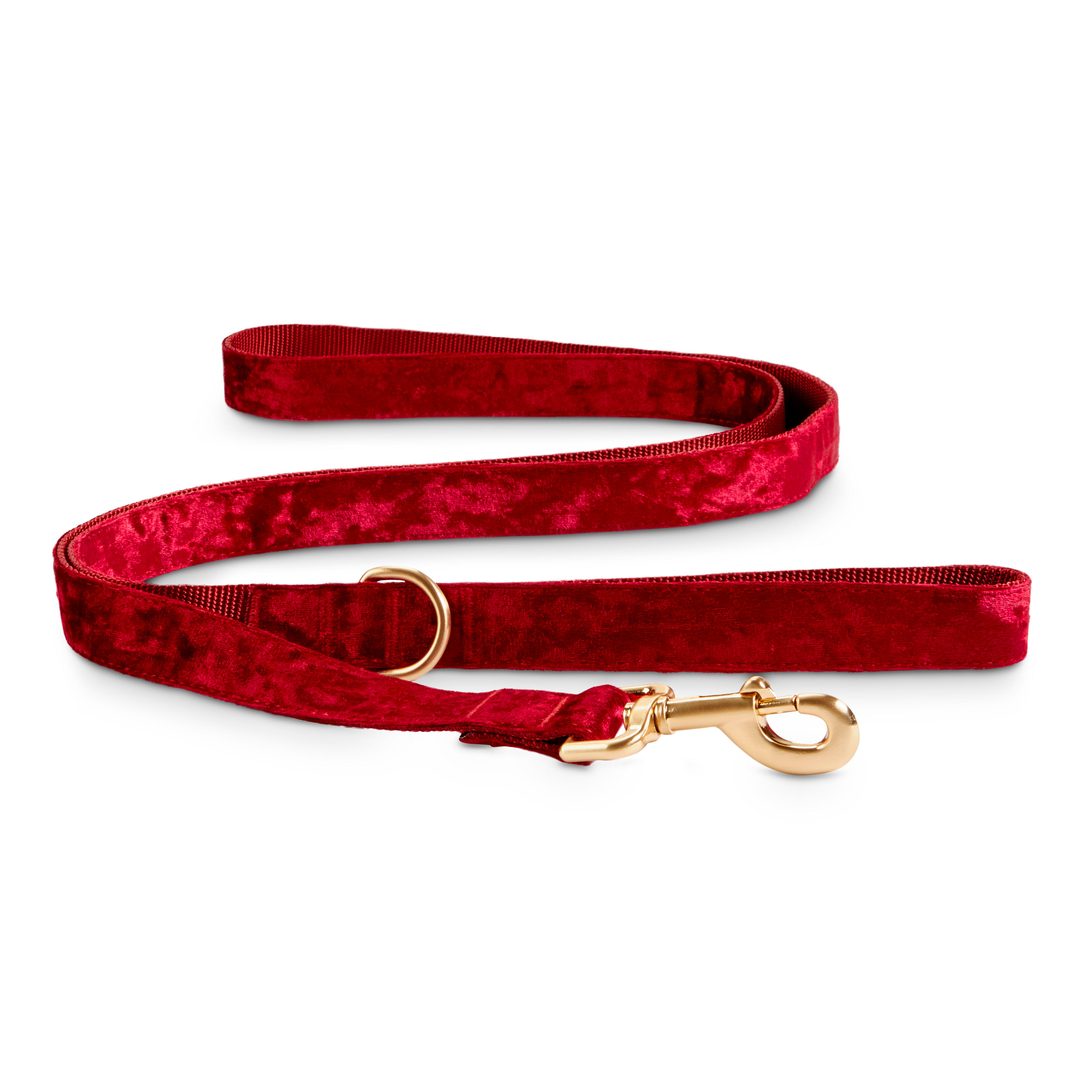 attach dog leash to belt
