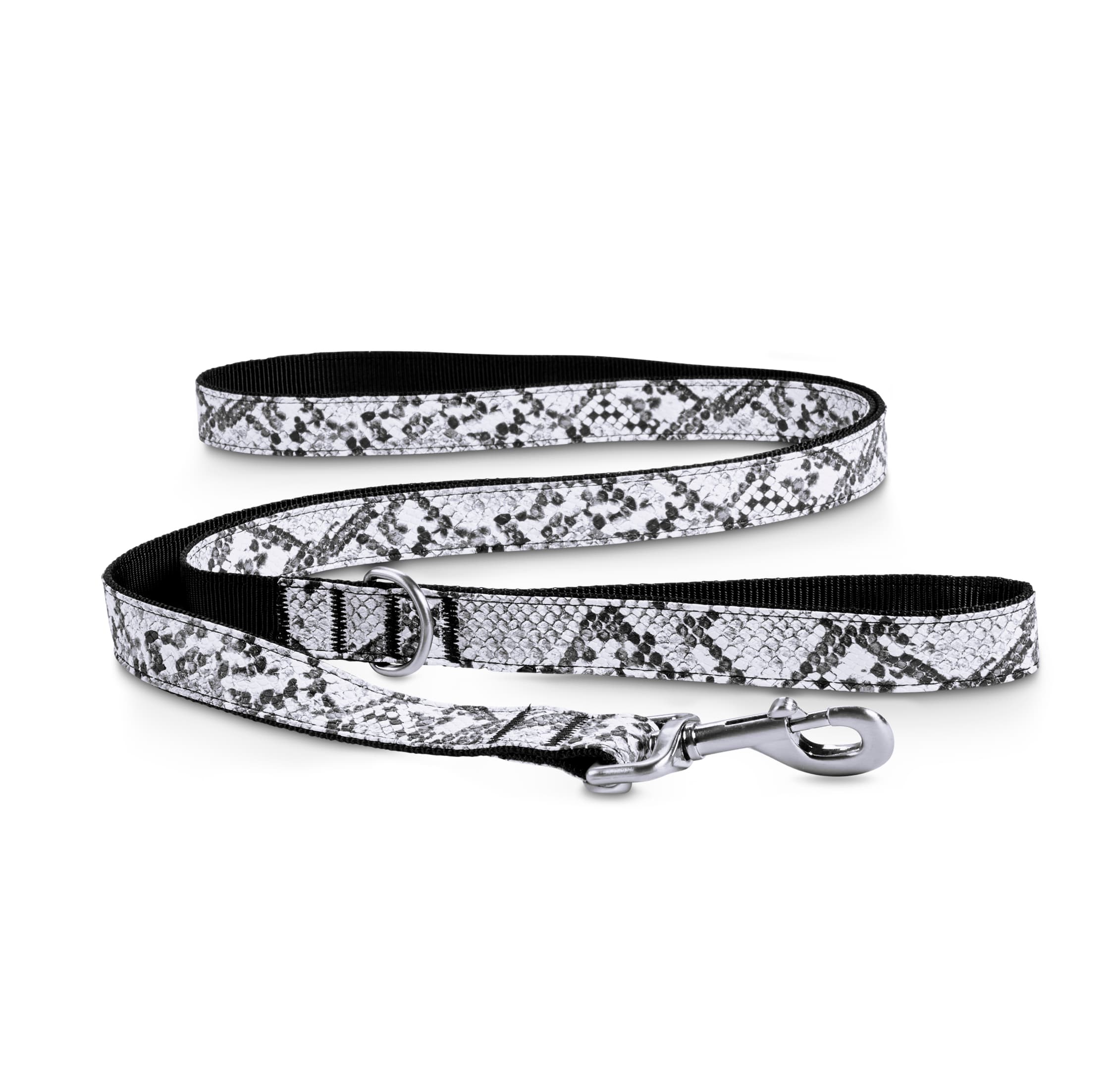 white dog leash