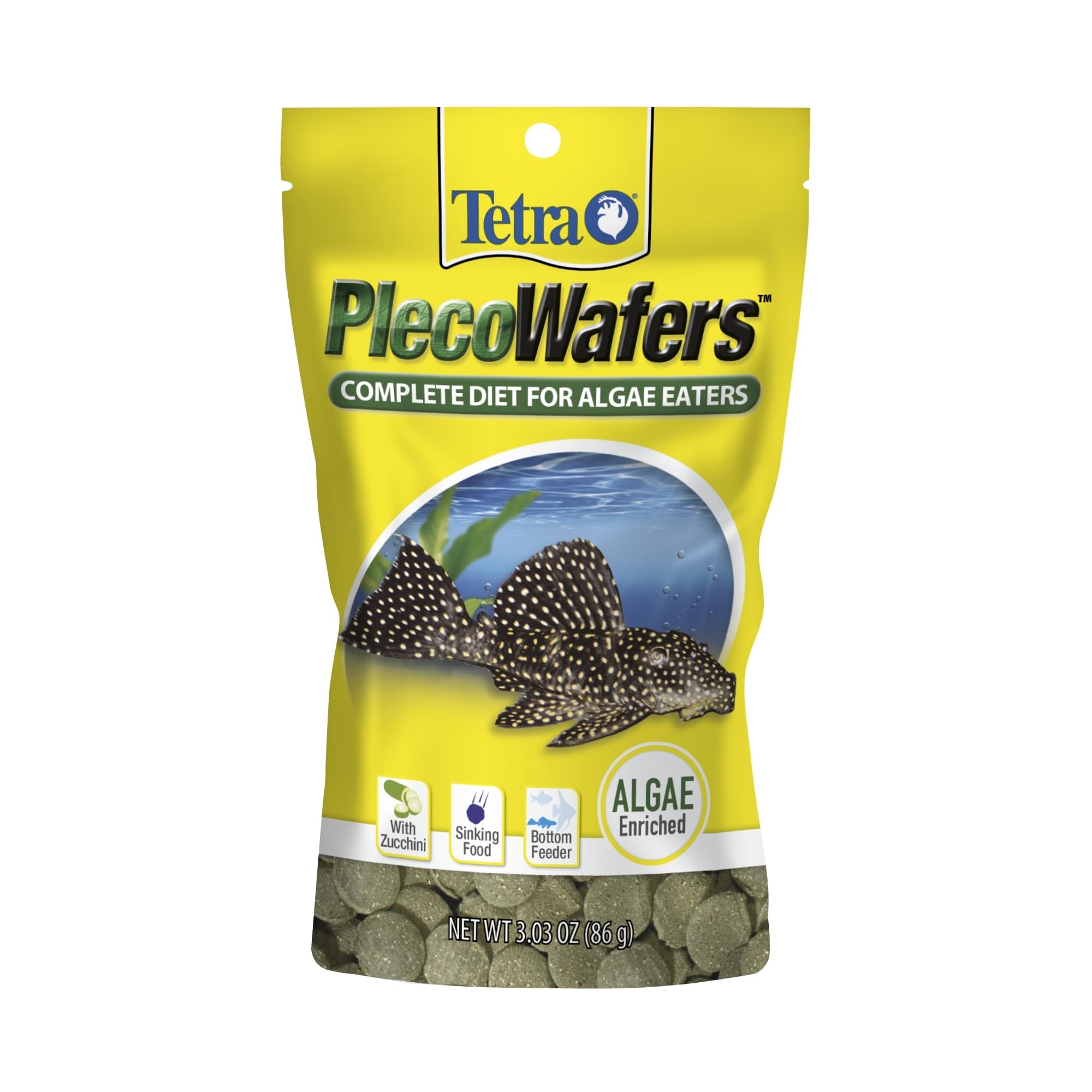 Petco sucker hot sale fish