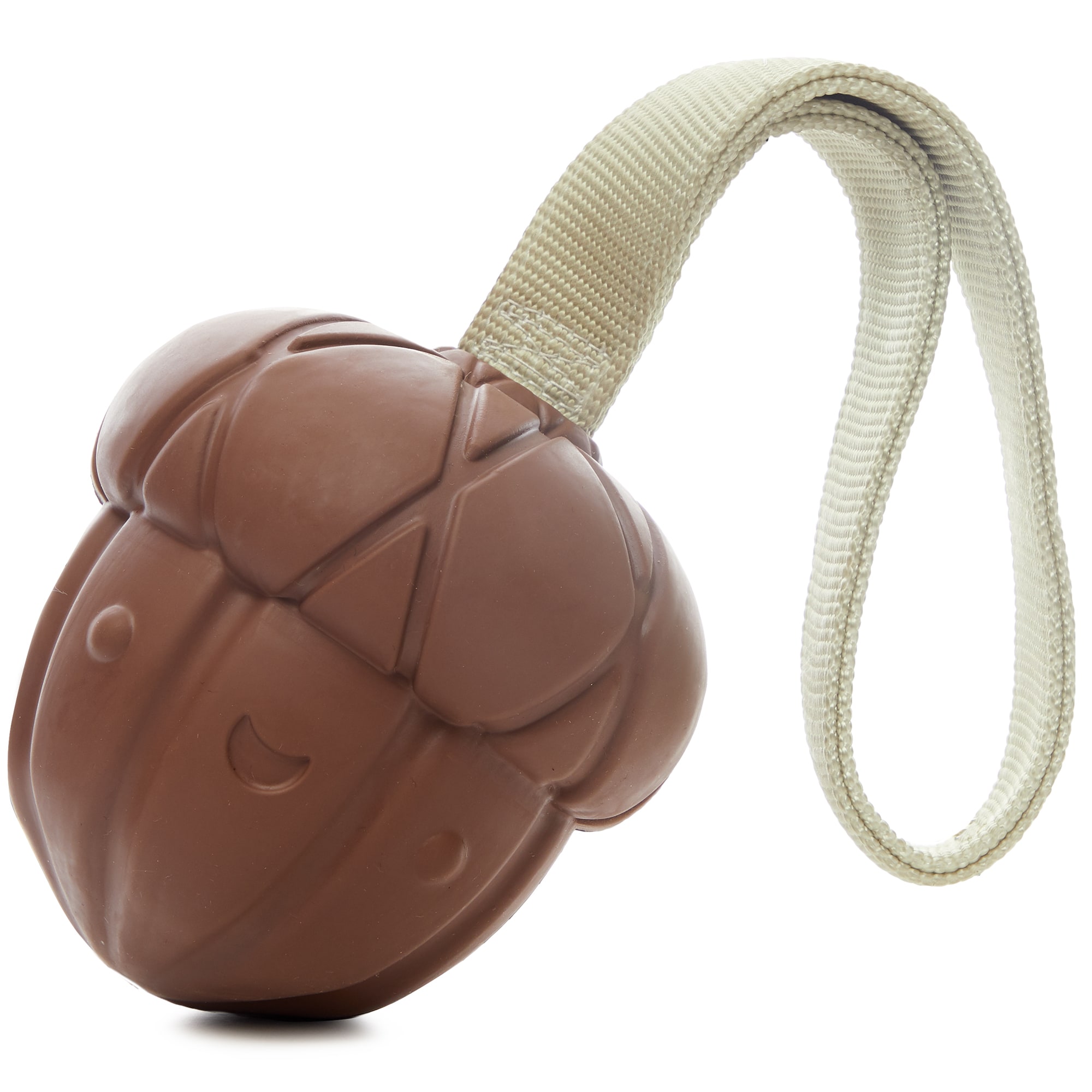 acorn dog toy