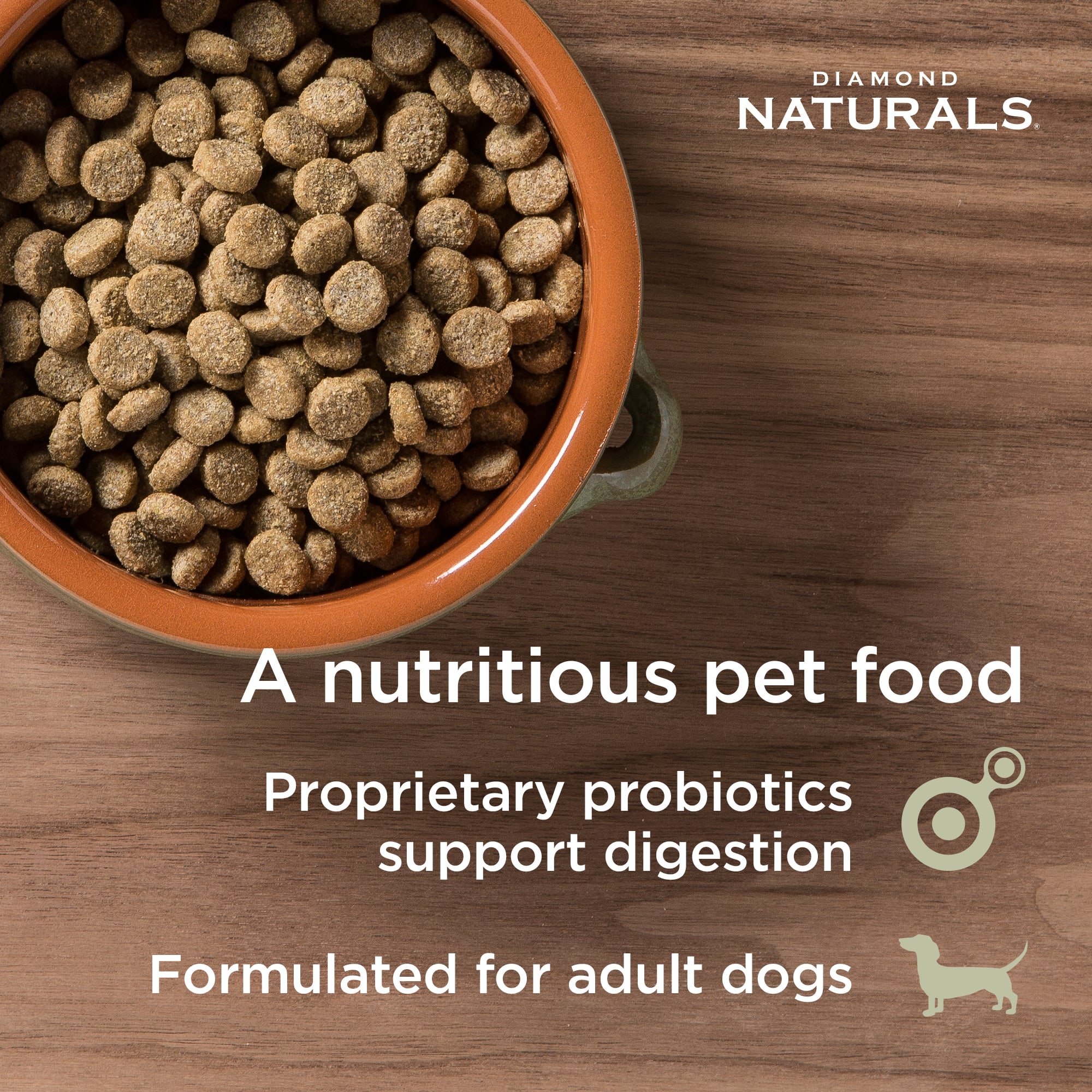 Diamond naturals dog outlet food petco