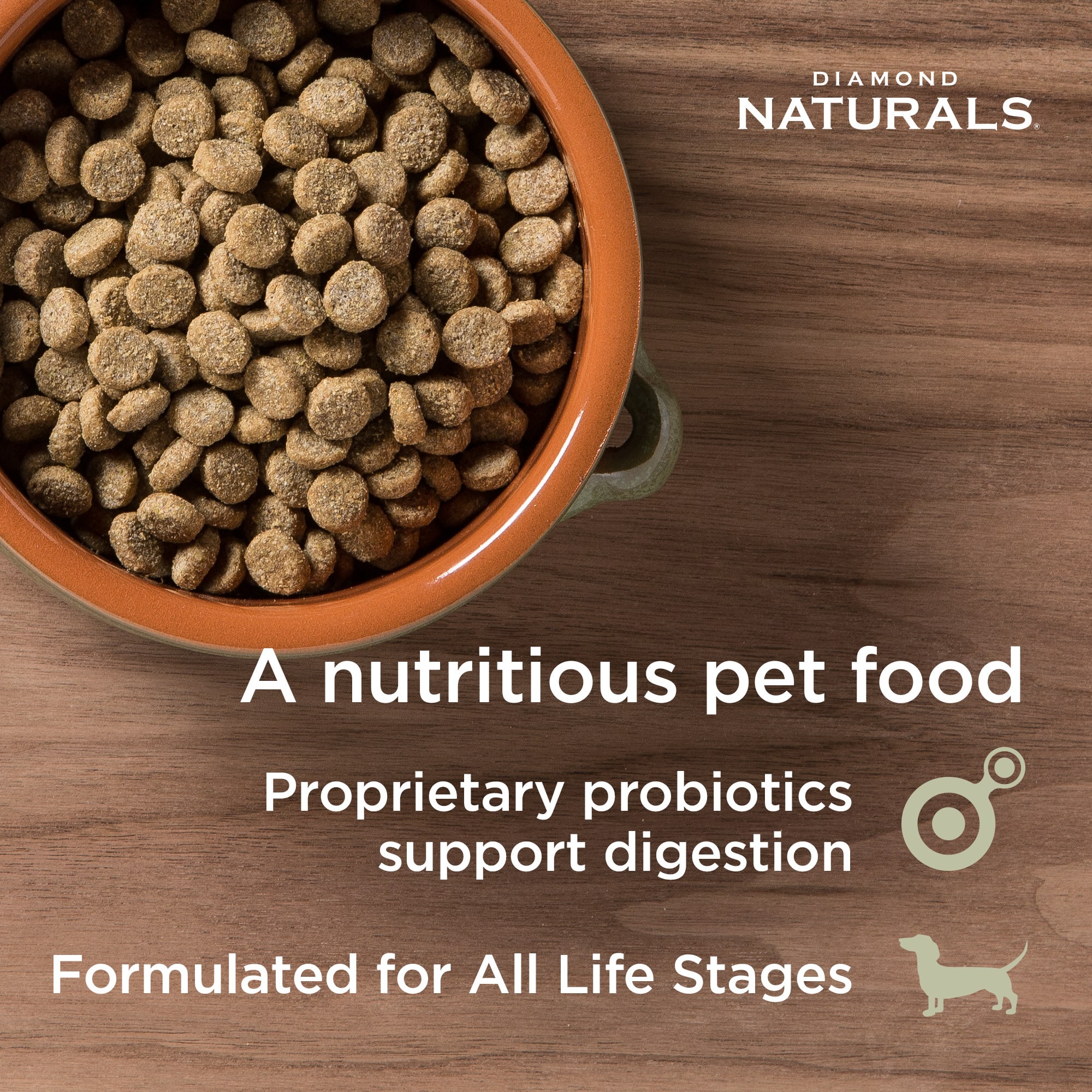Diamond Naturals Skin and Coat Dry Dog Food, 30 lbs. | Petco