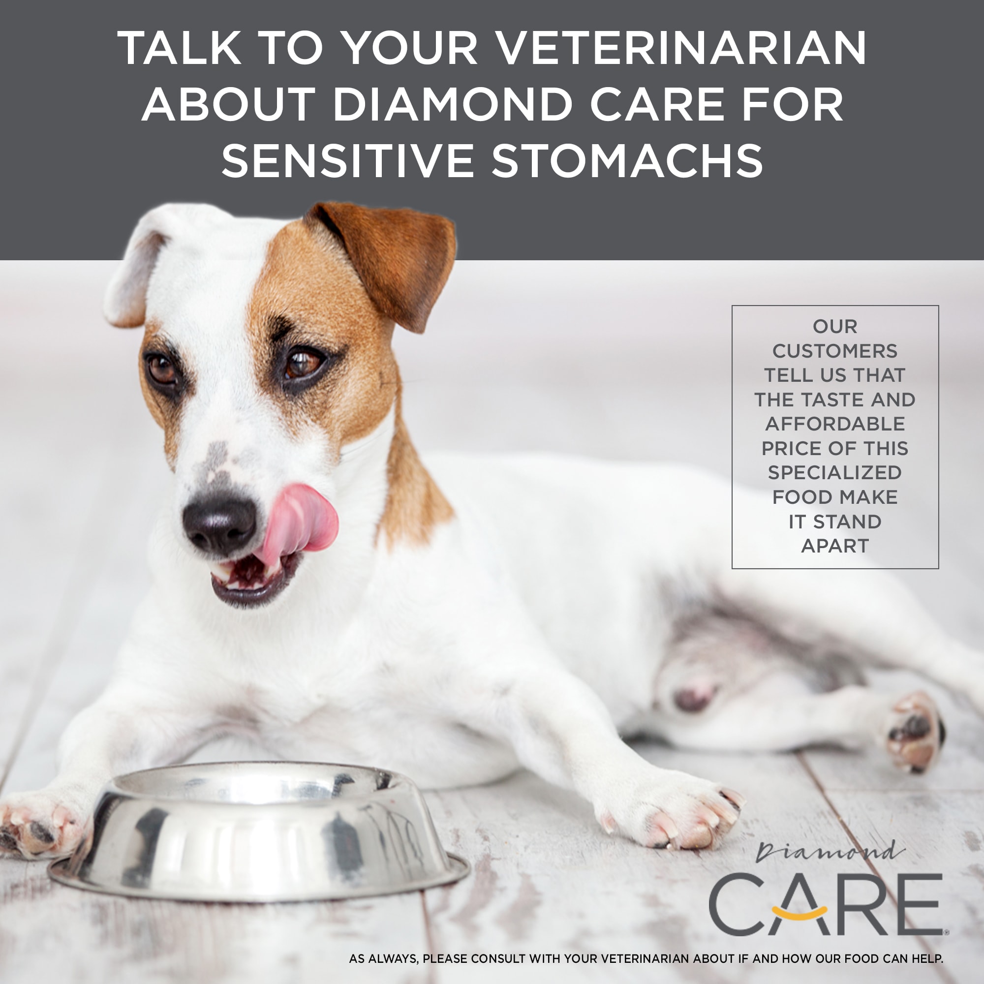 Diamond care sensitive stomach dog outlet food