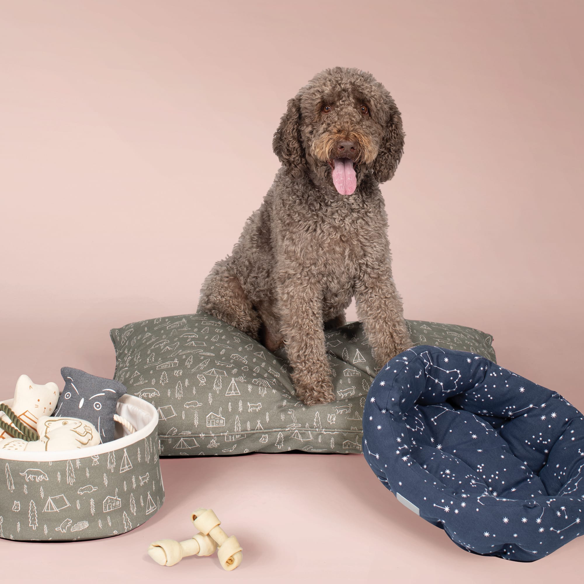 Fringe brand best sale dog bed