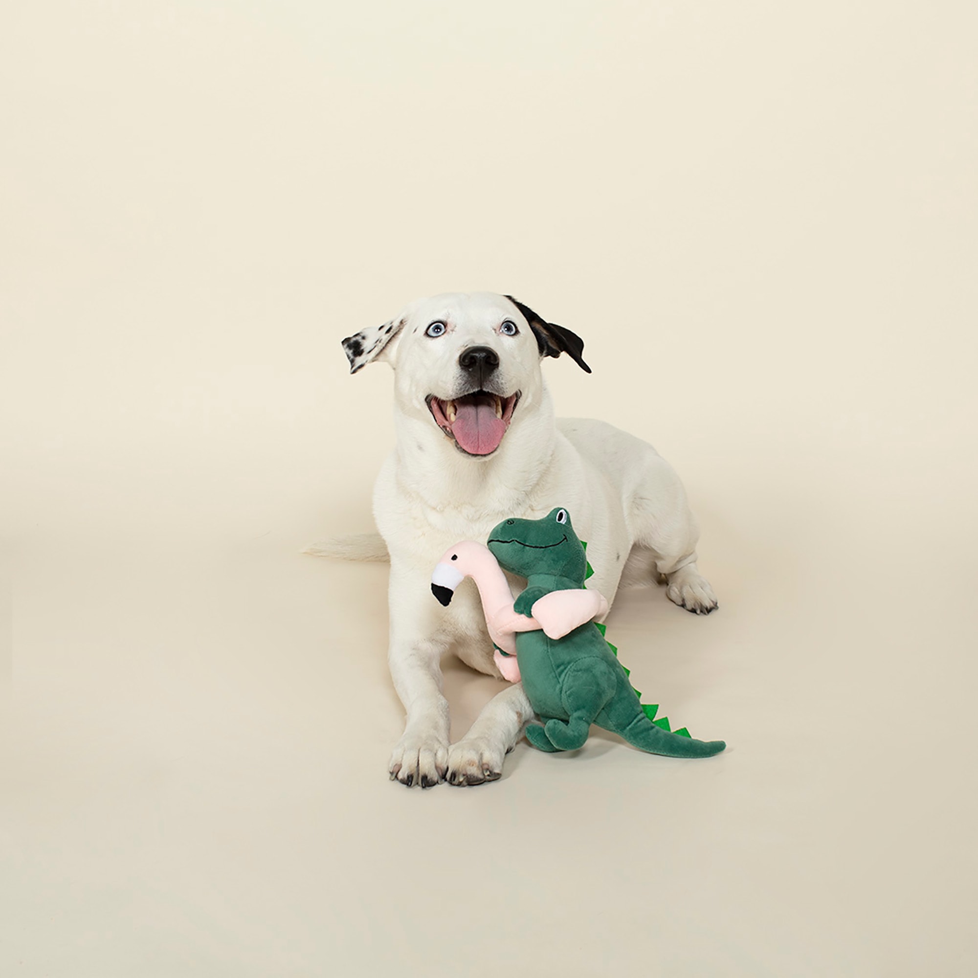 PETSHOP TIME FOR A CHANGE IN WEATHER DOG TOYS – PetShop.fringestudio