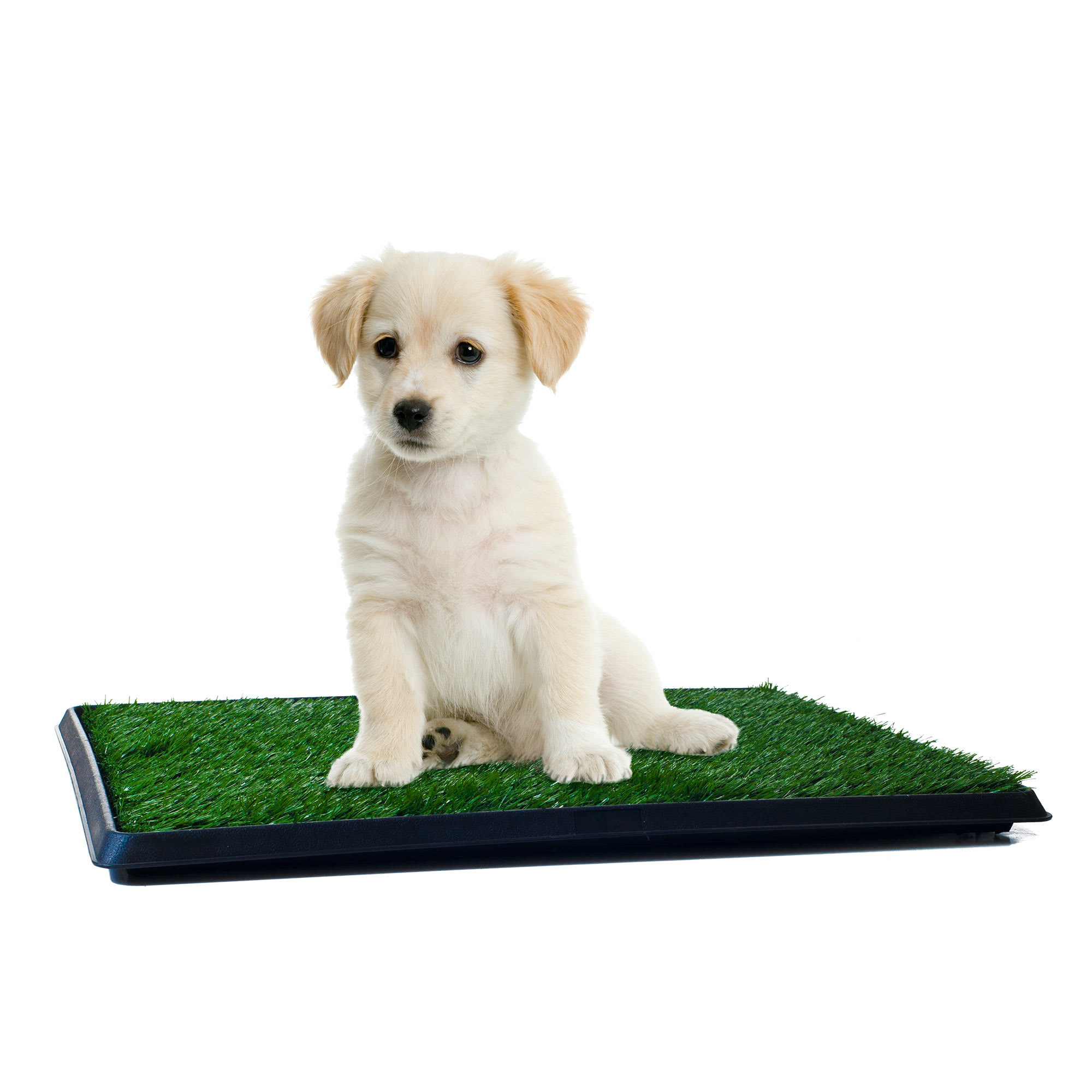 Pee Pad Holder for Small Dogs Indoor Potty Training Tray for Little Puppy  or Cat Litter Mat Only(Very Small)