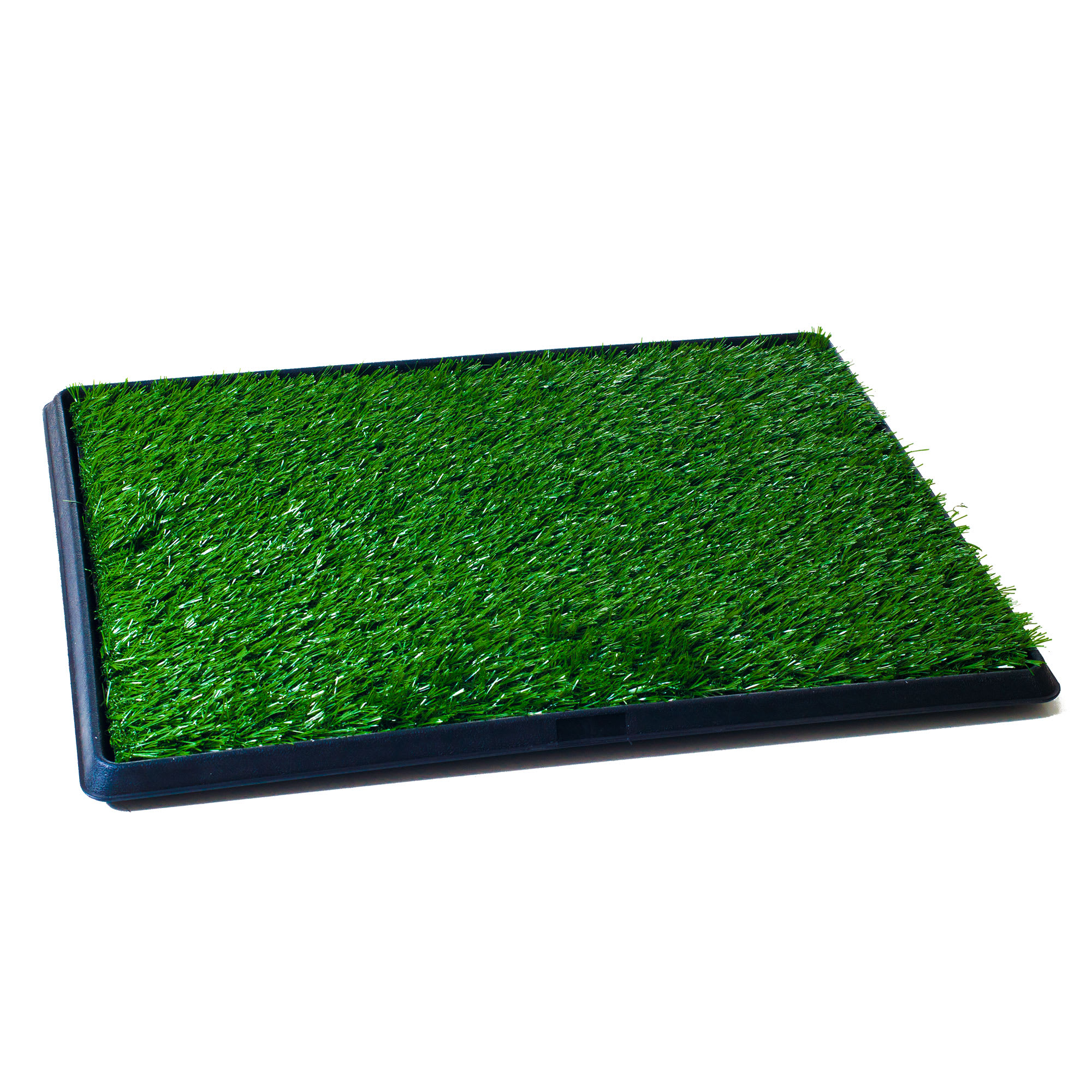 Grass pee pad clearance petco