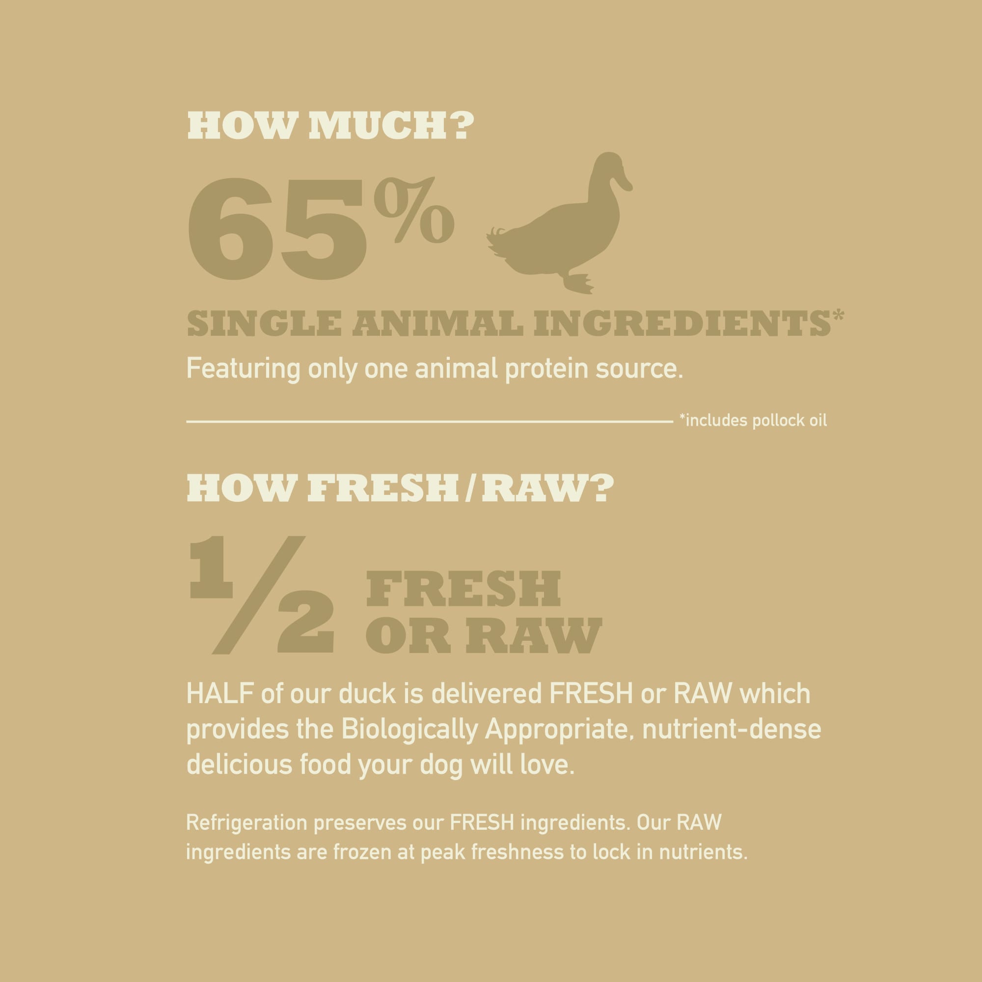 allergy dog food wellness Daily Wellness Formula for Pets: Pork/Beef Allergy Relief