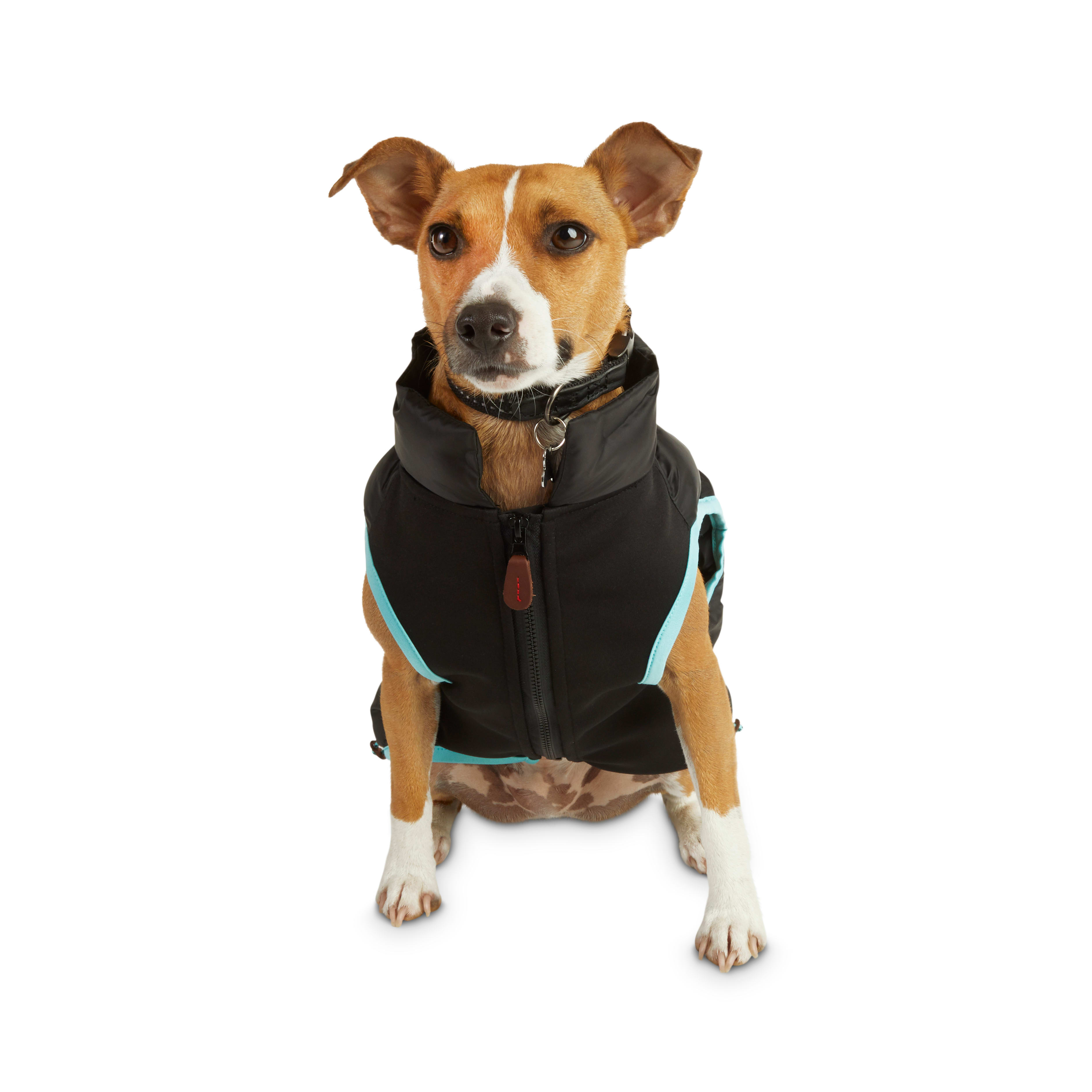 nike dog jacket