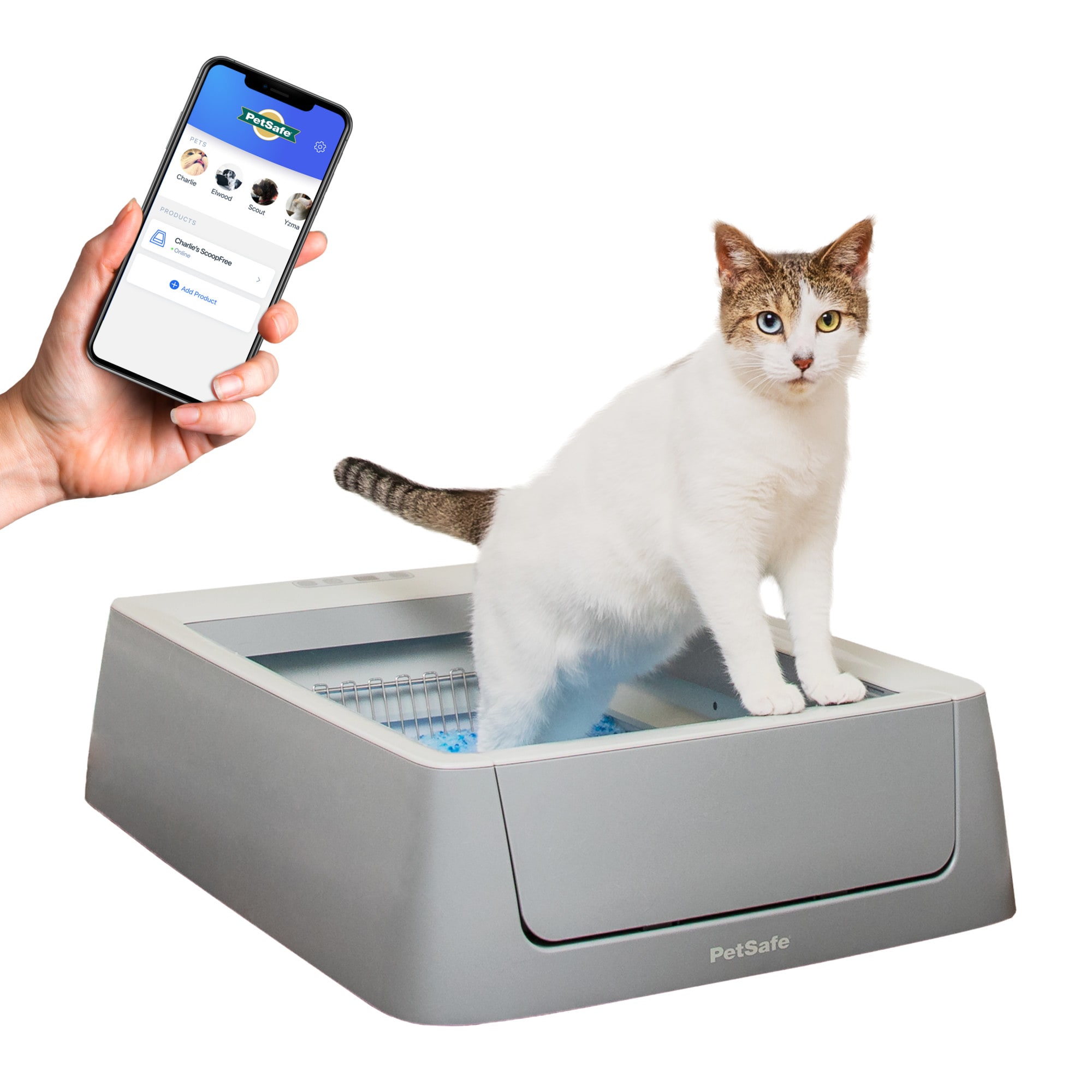 Self cleaning shop cat litter box