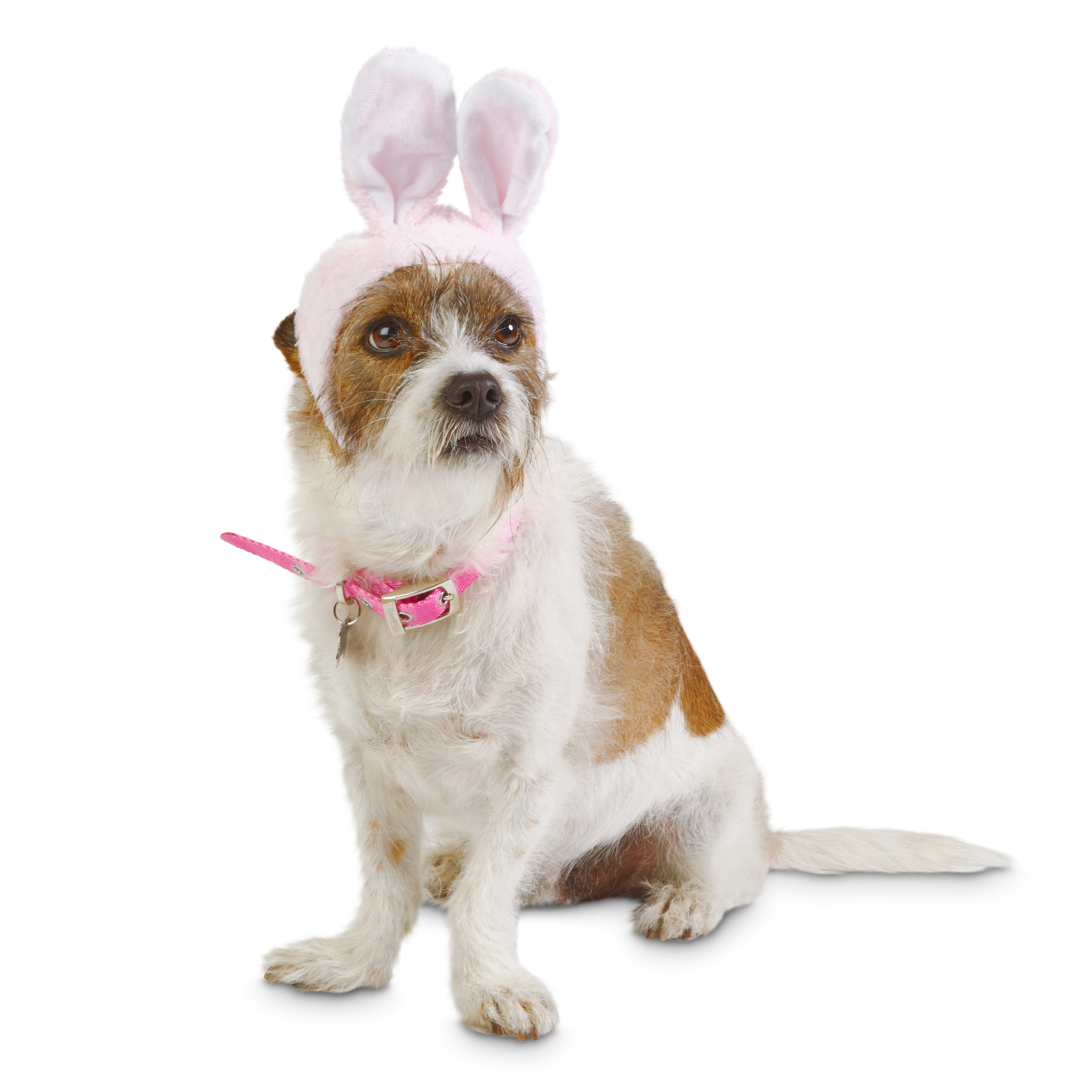 Bond & Co. Pink Bunny Bonnet Pet Cap, X-Small/Small