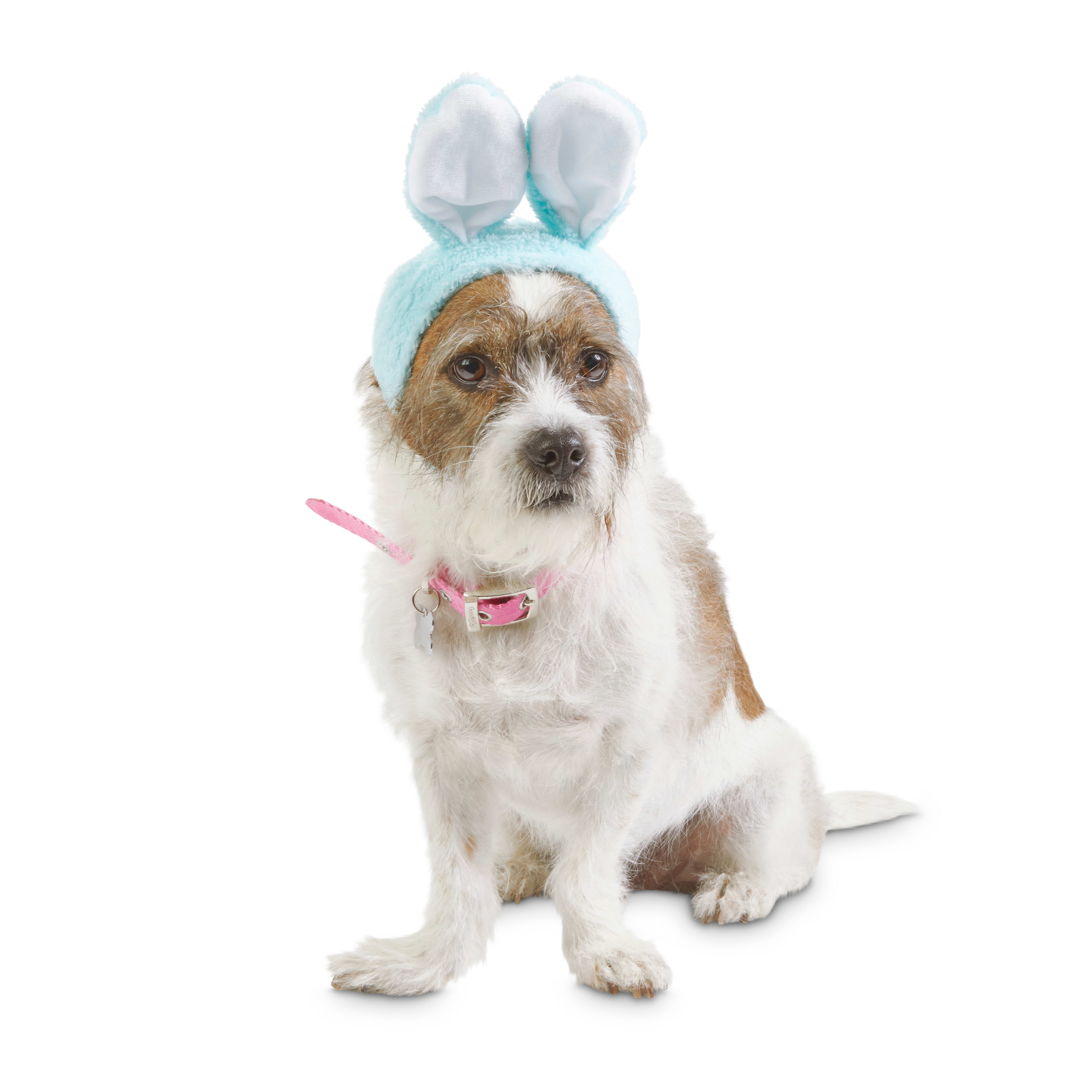 Bond & Co. Blue Bunny Bonnet Pet Cap, X-Small/Small