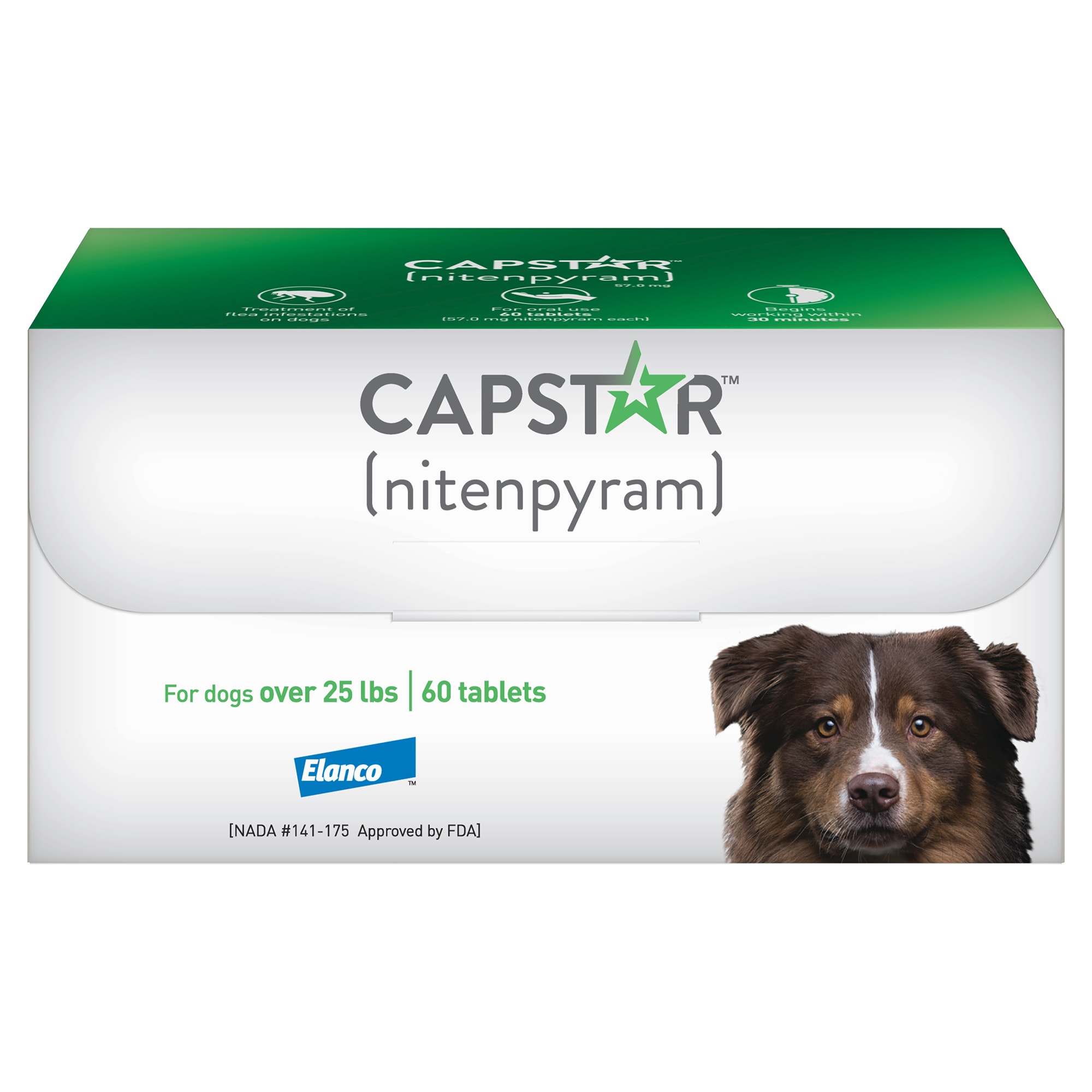Capstar Flea Tablets for Dogs 25 lbs., Count of 60 | Petco