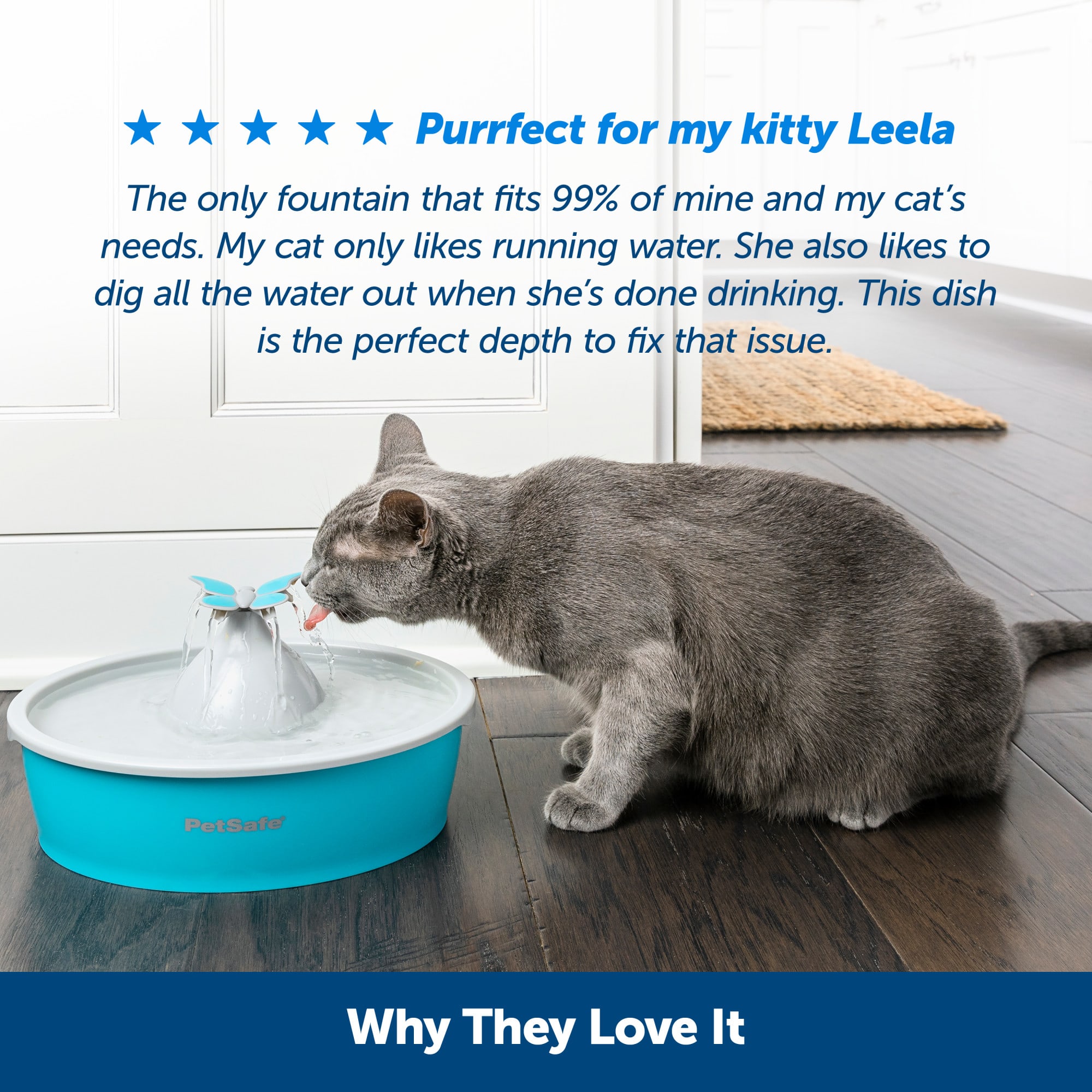 i and love and you wet cat food I And Love And You Grain Free Savory Salmon Pate Canned Cat Food  Petsense