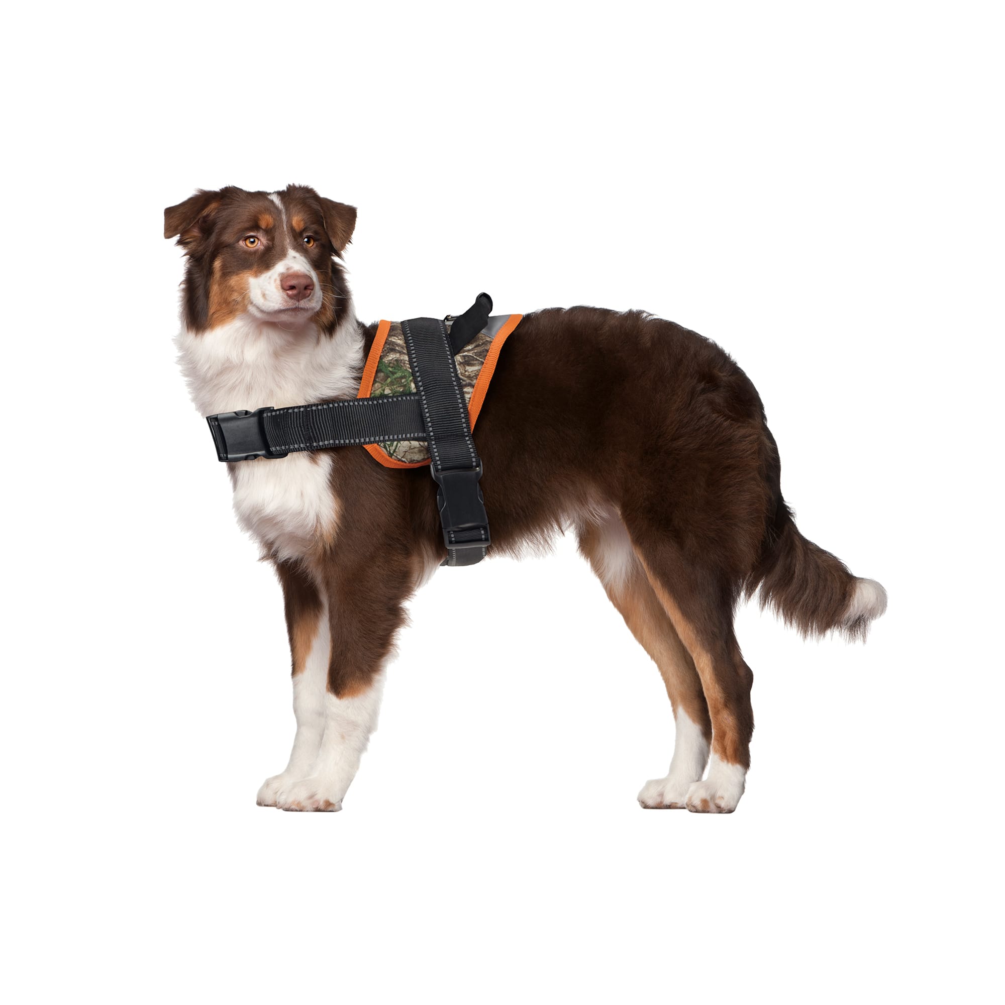 Hunter PetGear, Dog