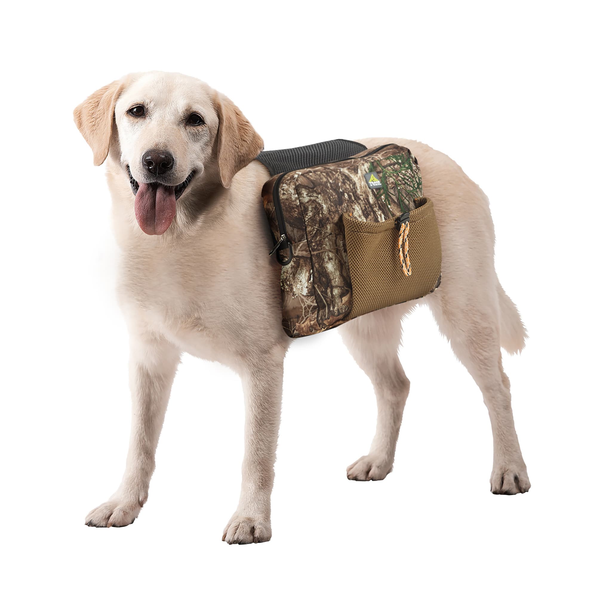 Dog Saddle 