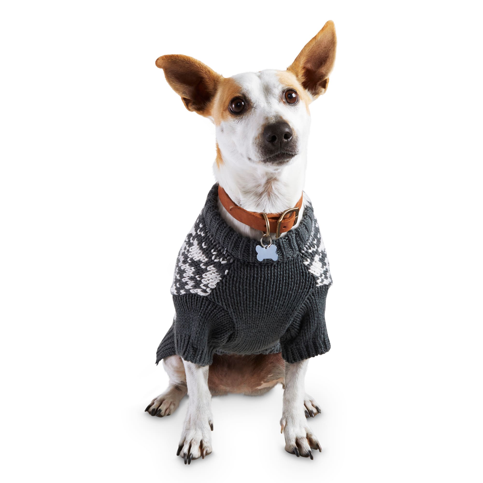 petco dog christmas outfits