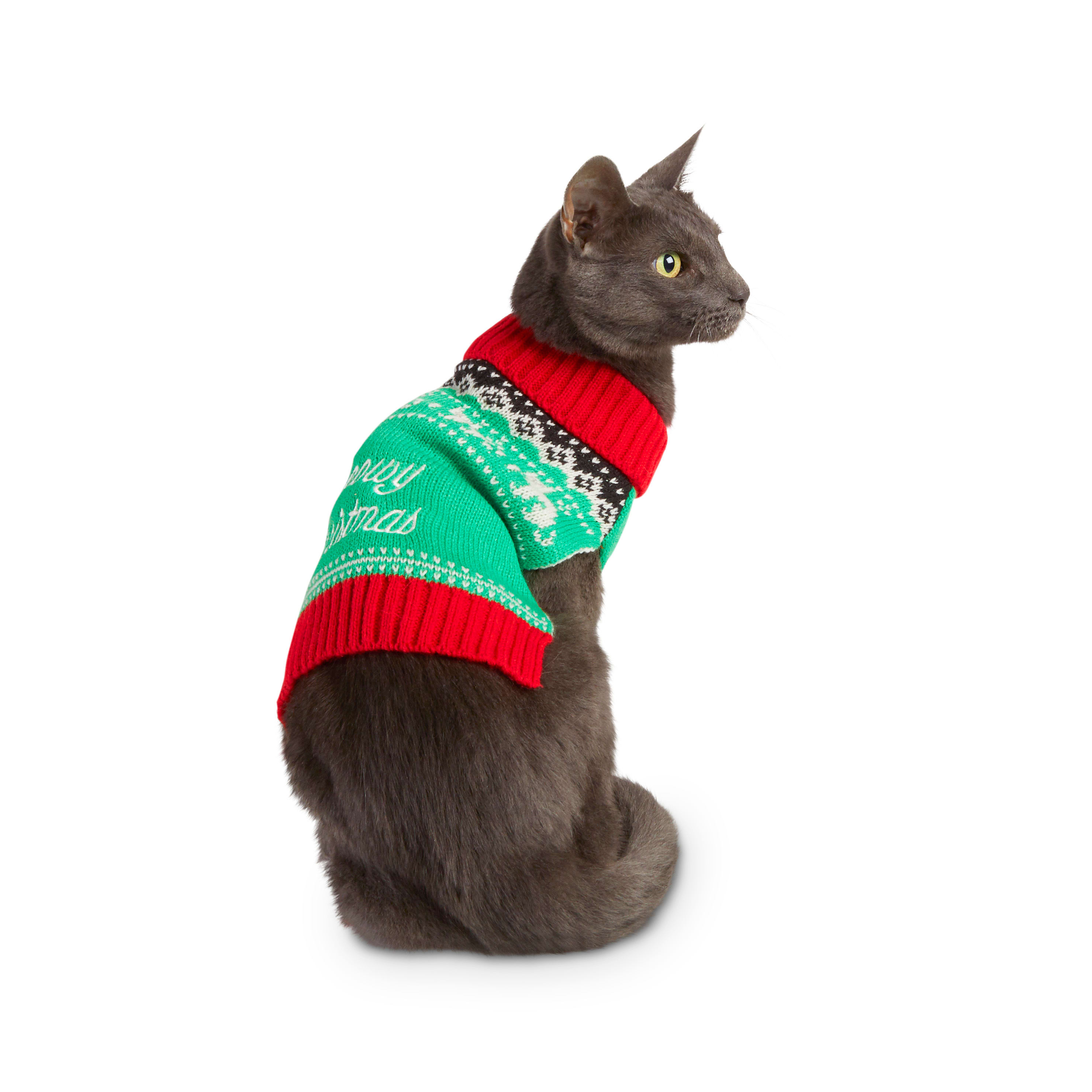 cold blooded reptiles