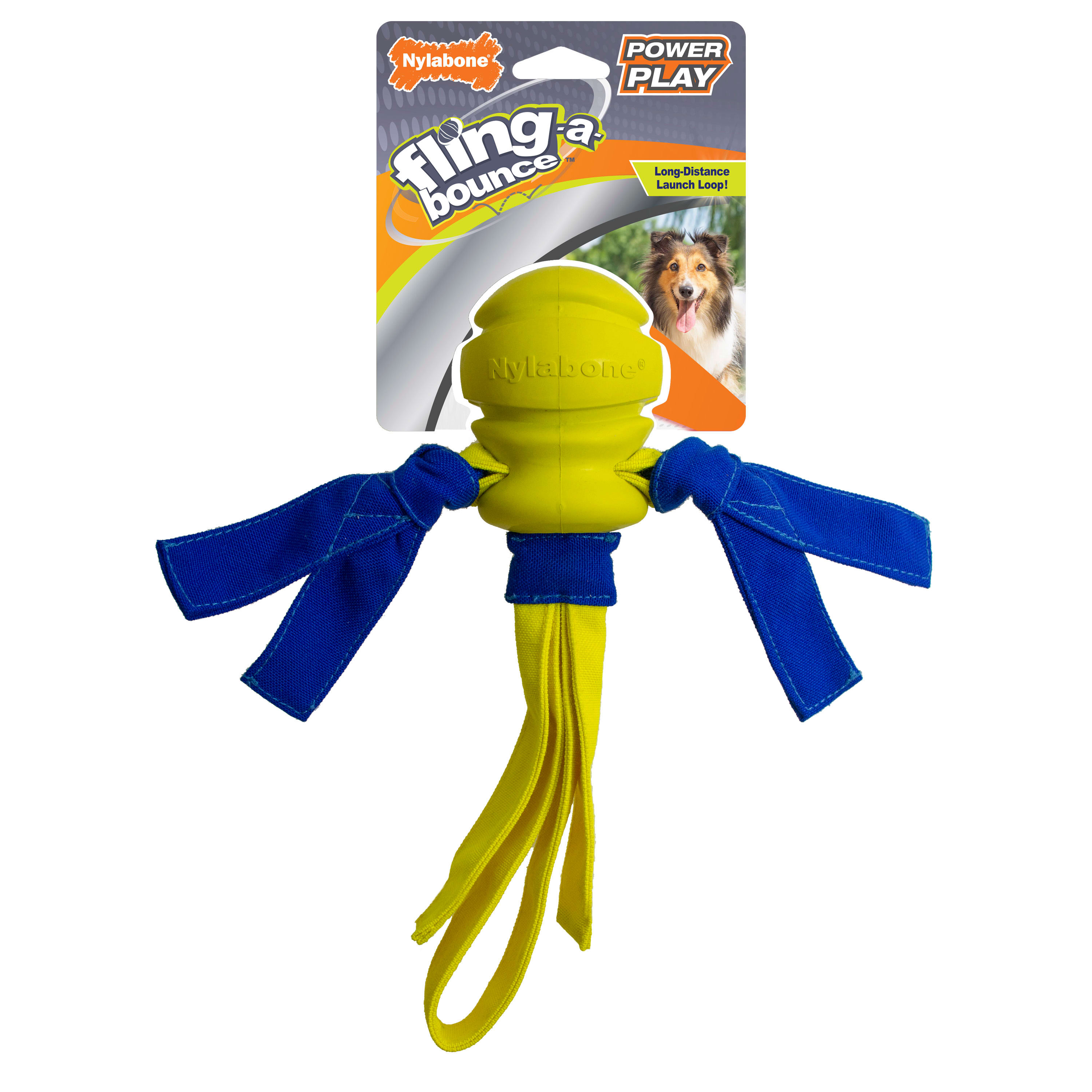 Nylabone Power Play Fling a Bounce Fetch Dog Toy Petco