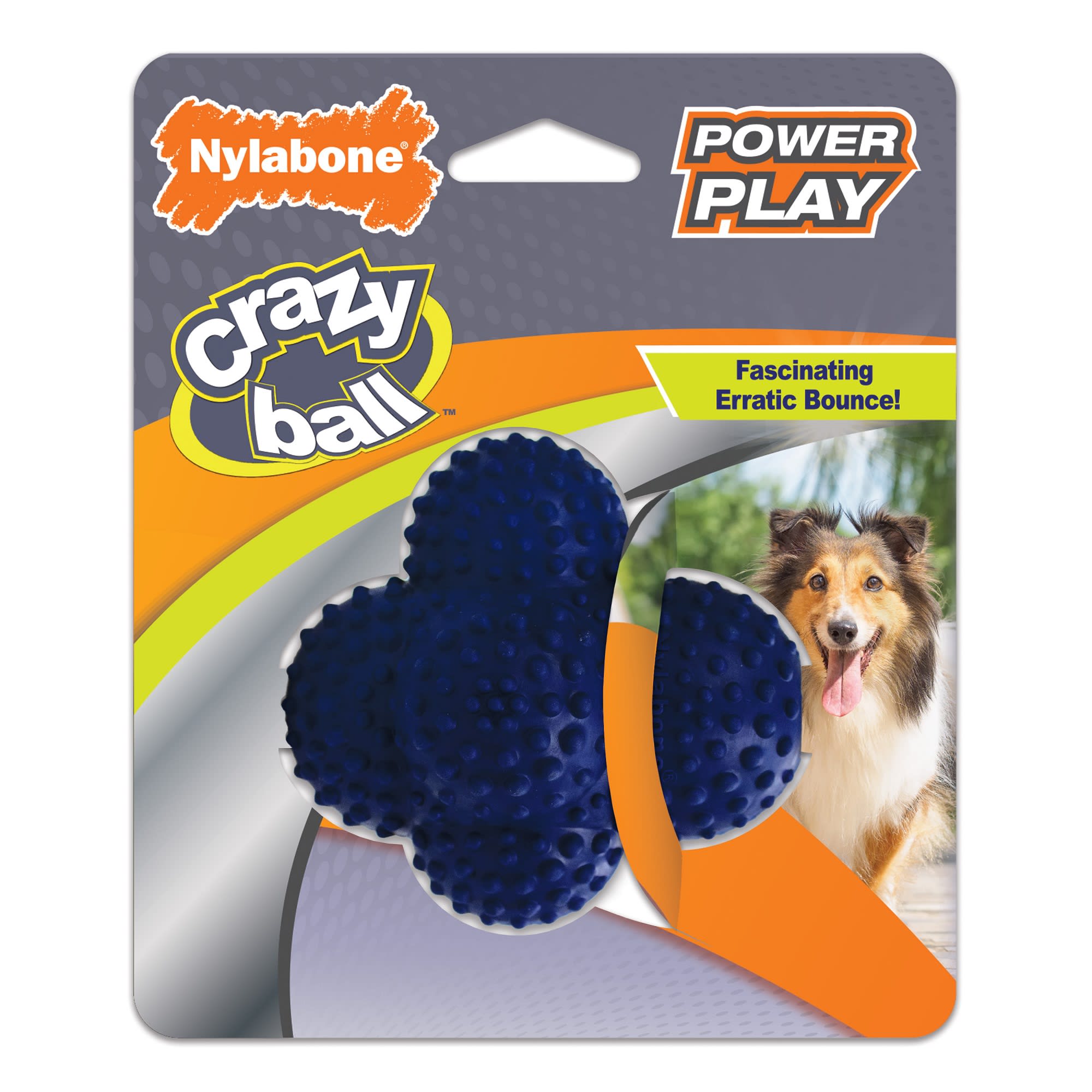 Nylabone Power Play Crazy Ball Dog Toy, Large