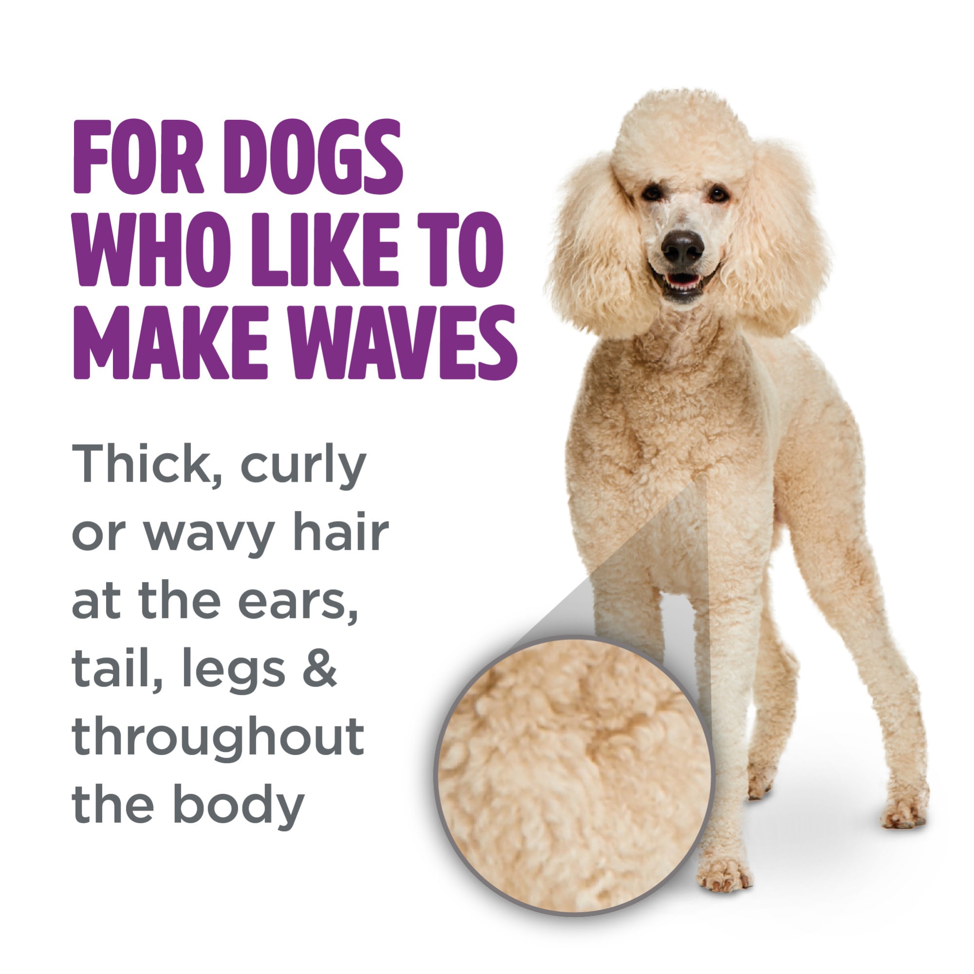 TropiClean Perfect Fur Curly Wavy Coat Shampoo for Dogs 16 fl