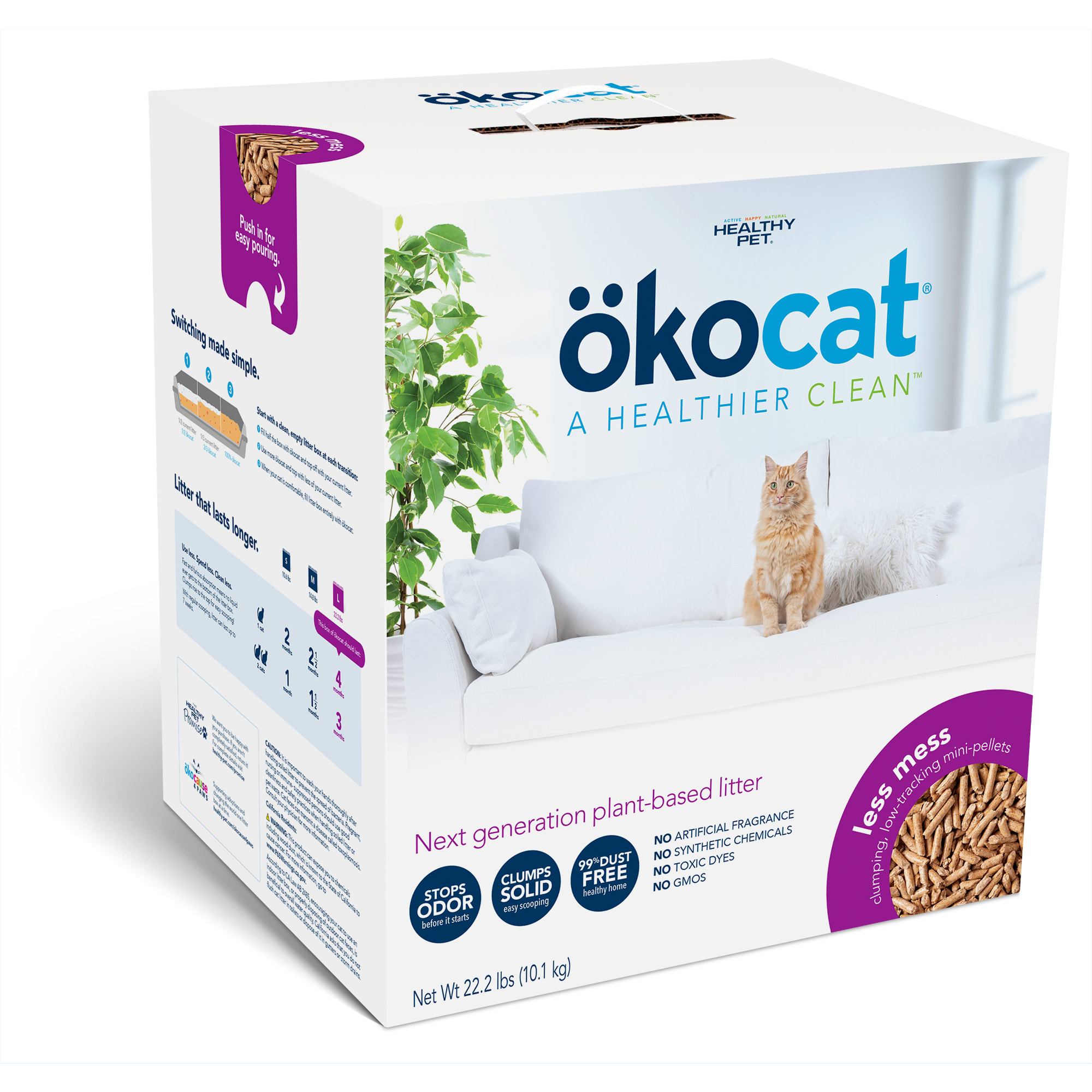 Best cat outlet litter no mess