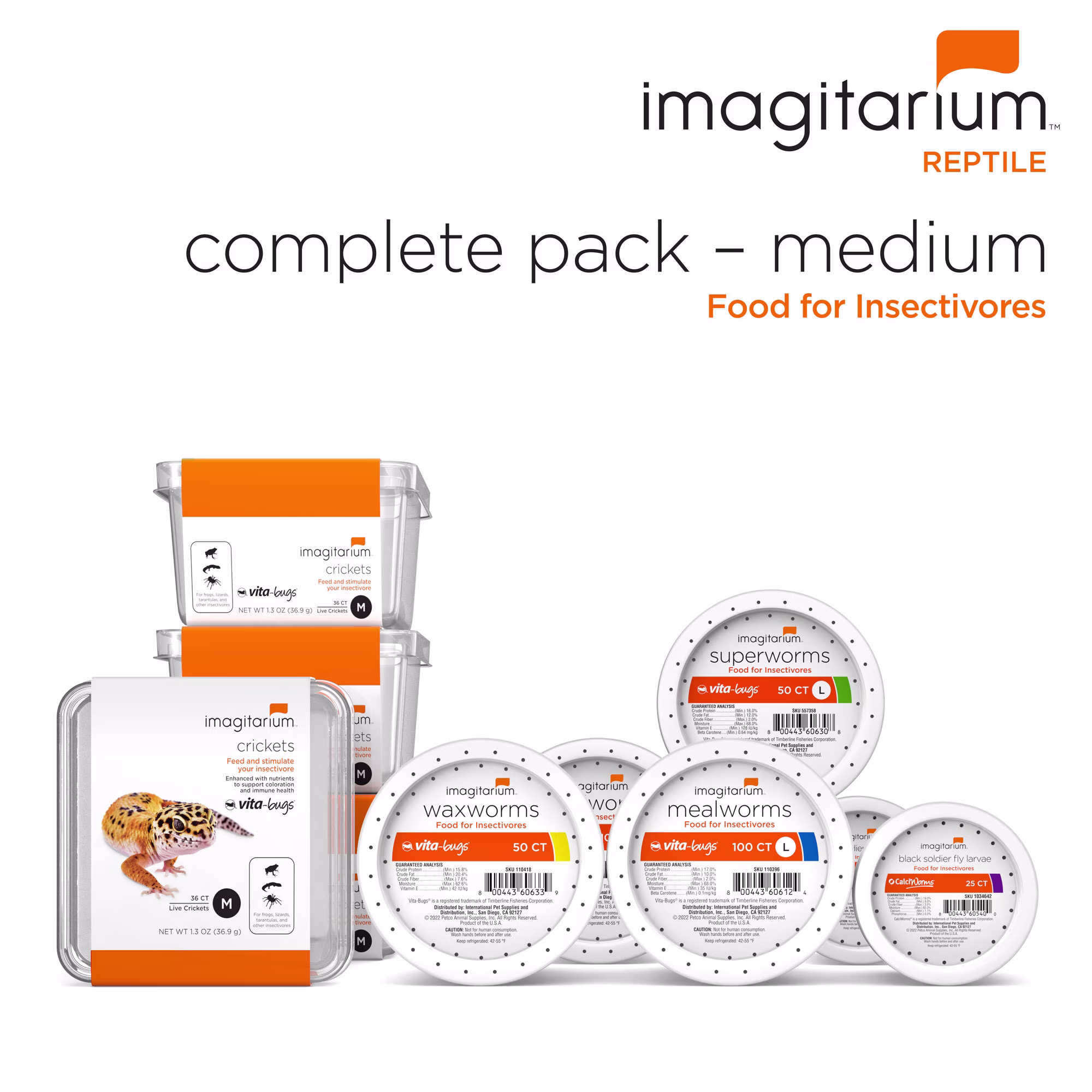 The Lost Secret Of Reptiles And Amphibians BarPlate