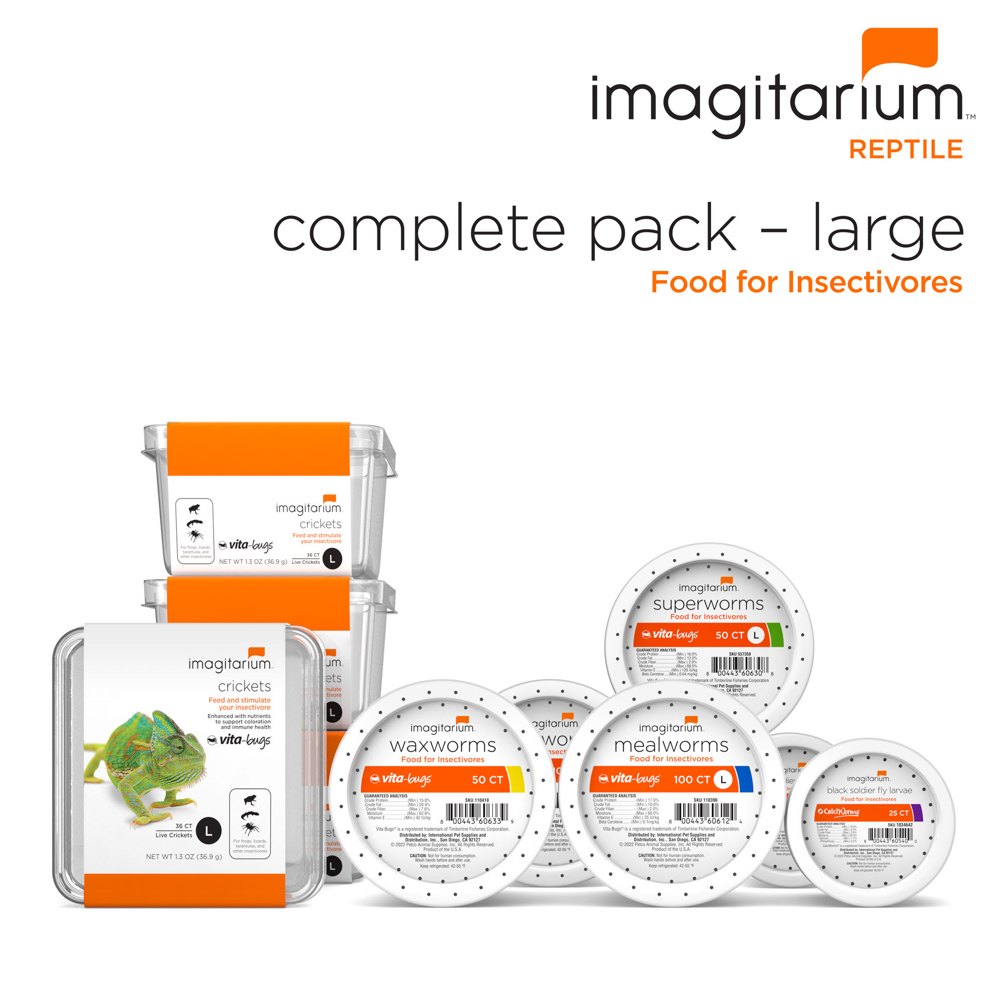 Live Mealworms Petco atelieryuwa.ciao.jp