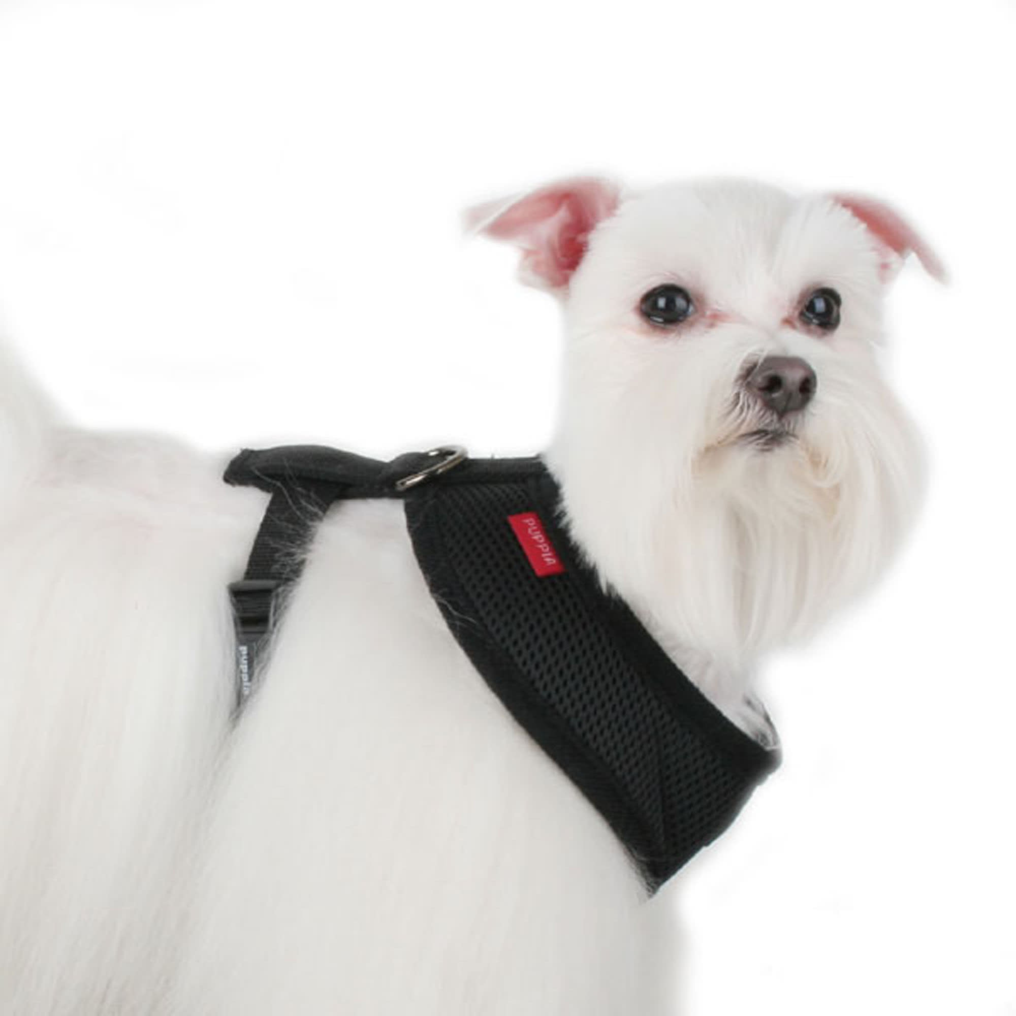 Small Puppia PLRA-HC9323-BK-S Black Trek Harness C Pet-Vest-Harnesses