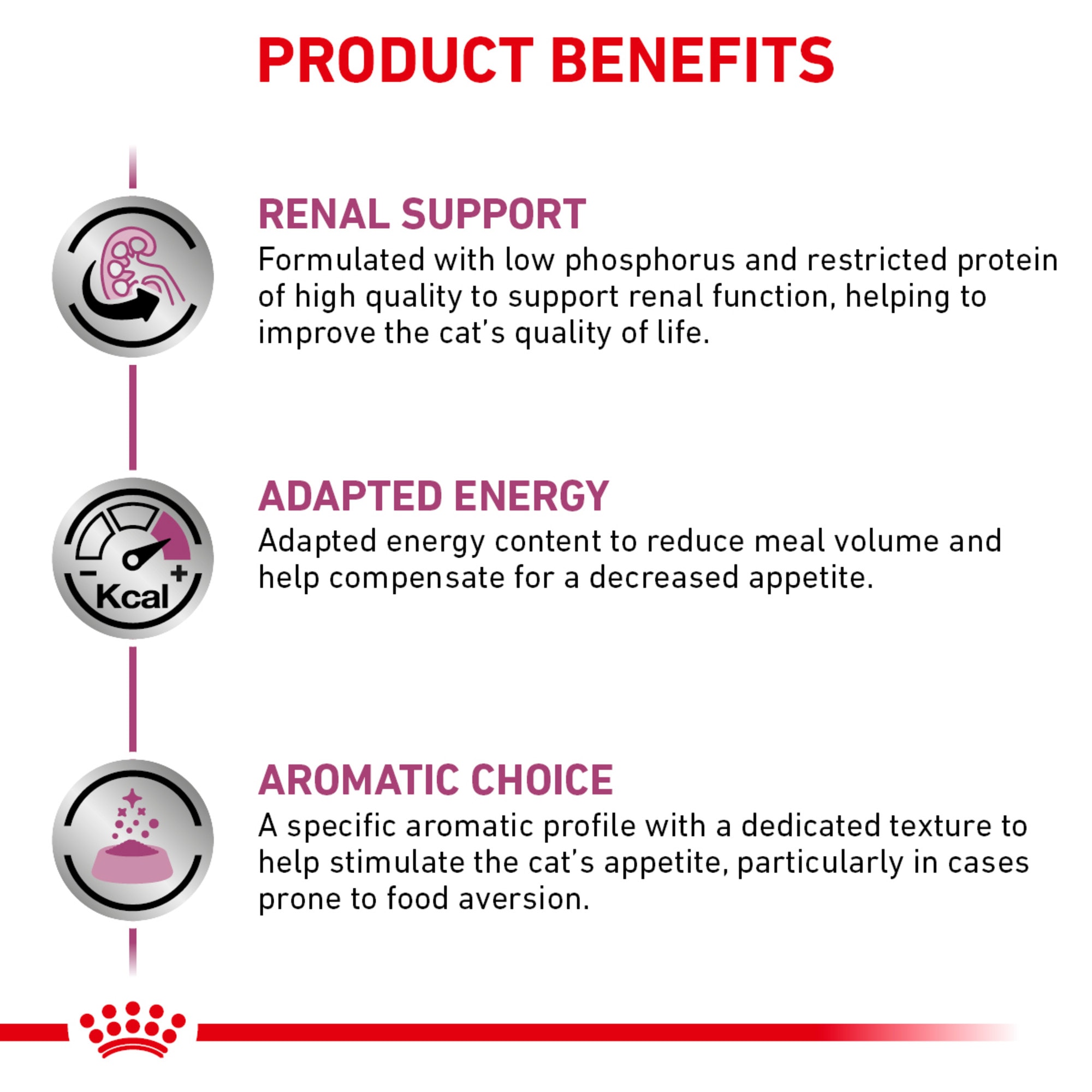 Royal Canin Renal Support E Enticing Wet Cat Food 5.1 oz. Case