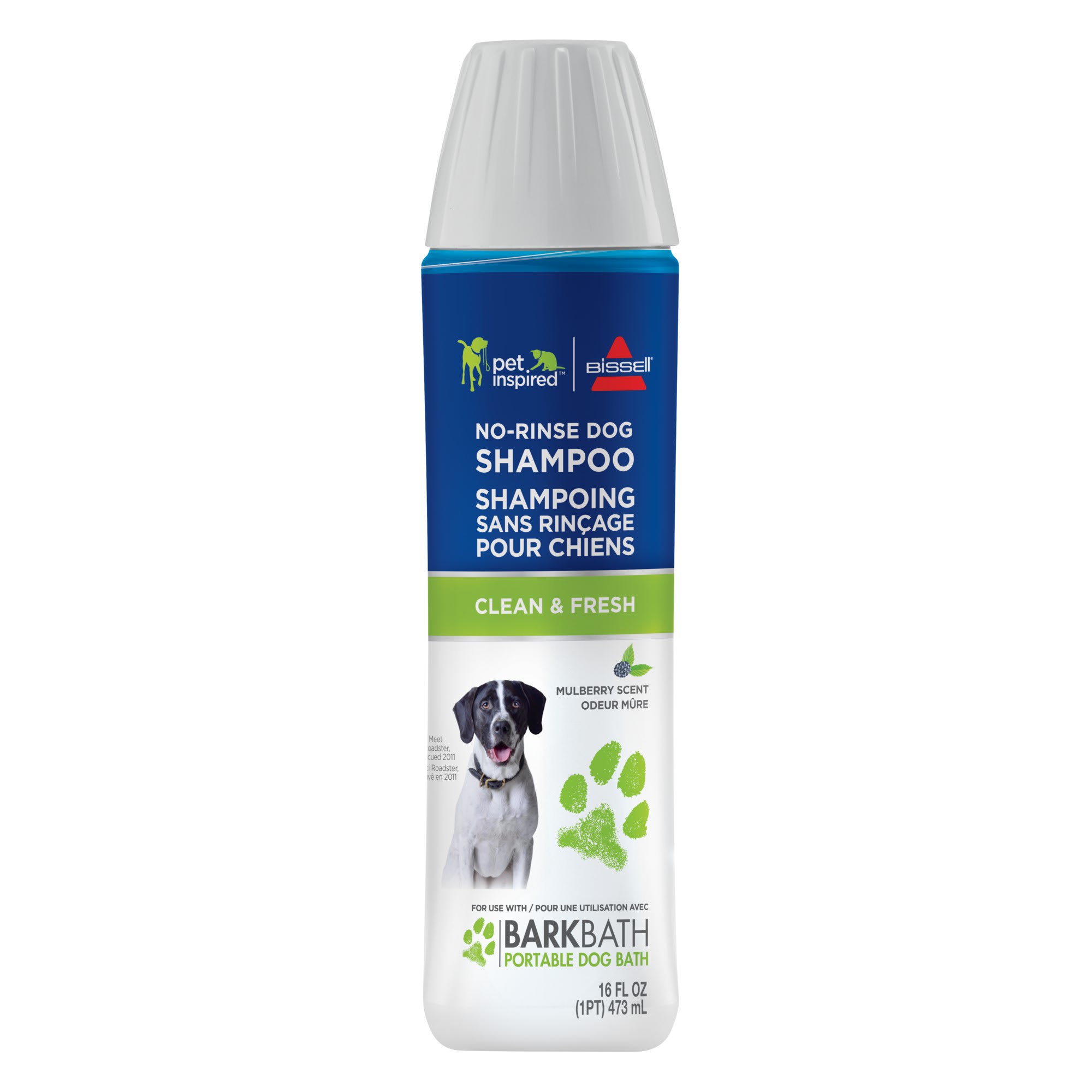 Diskurs schweizisk Albany Bissell Clean & Fresh No-Rinse Dog Shampoo, 16 fl. oz. | Petco