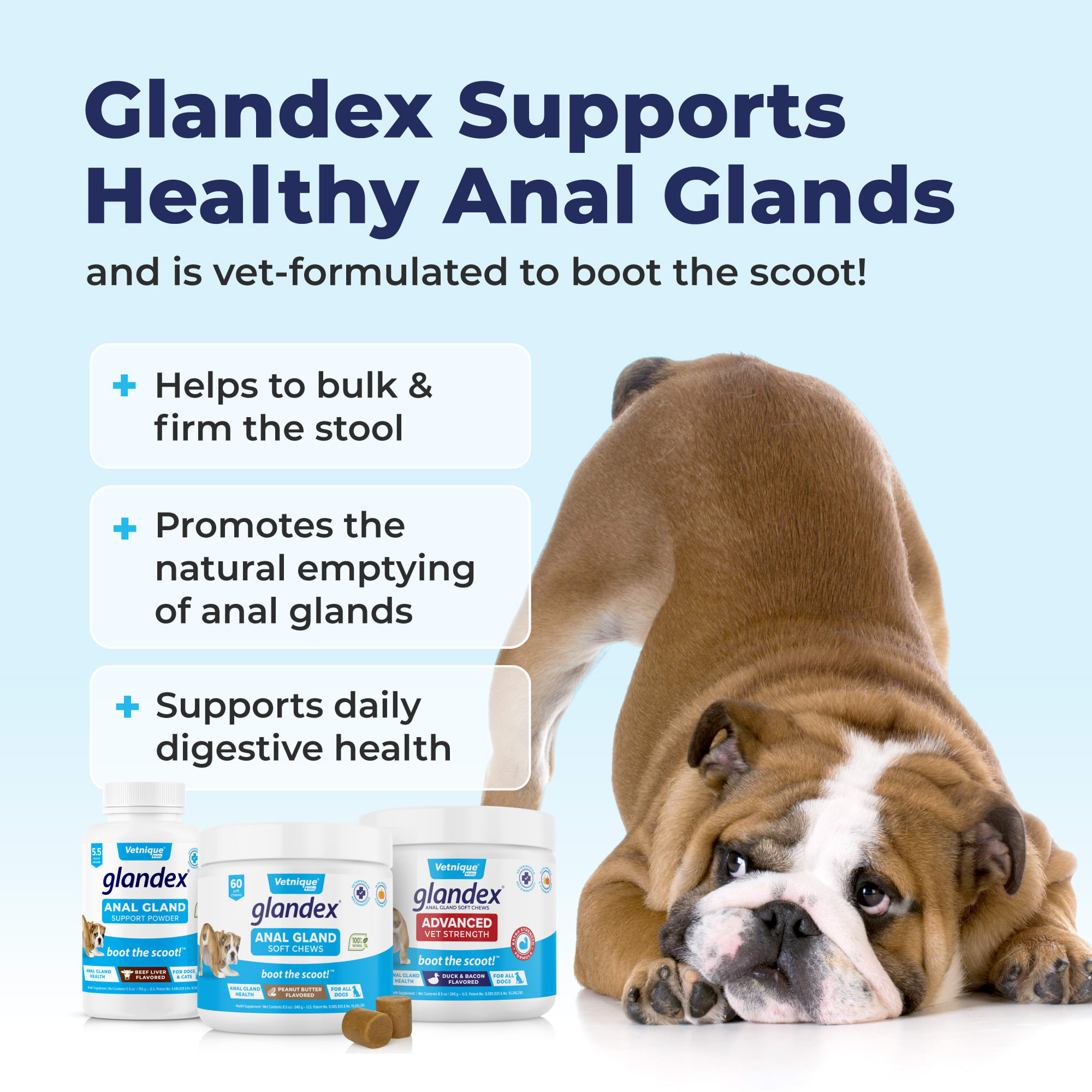 Glandex peanut outlet butter chews