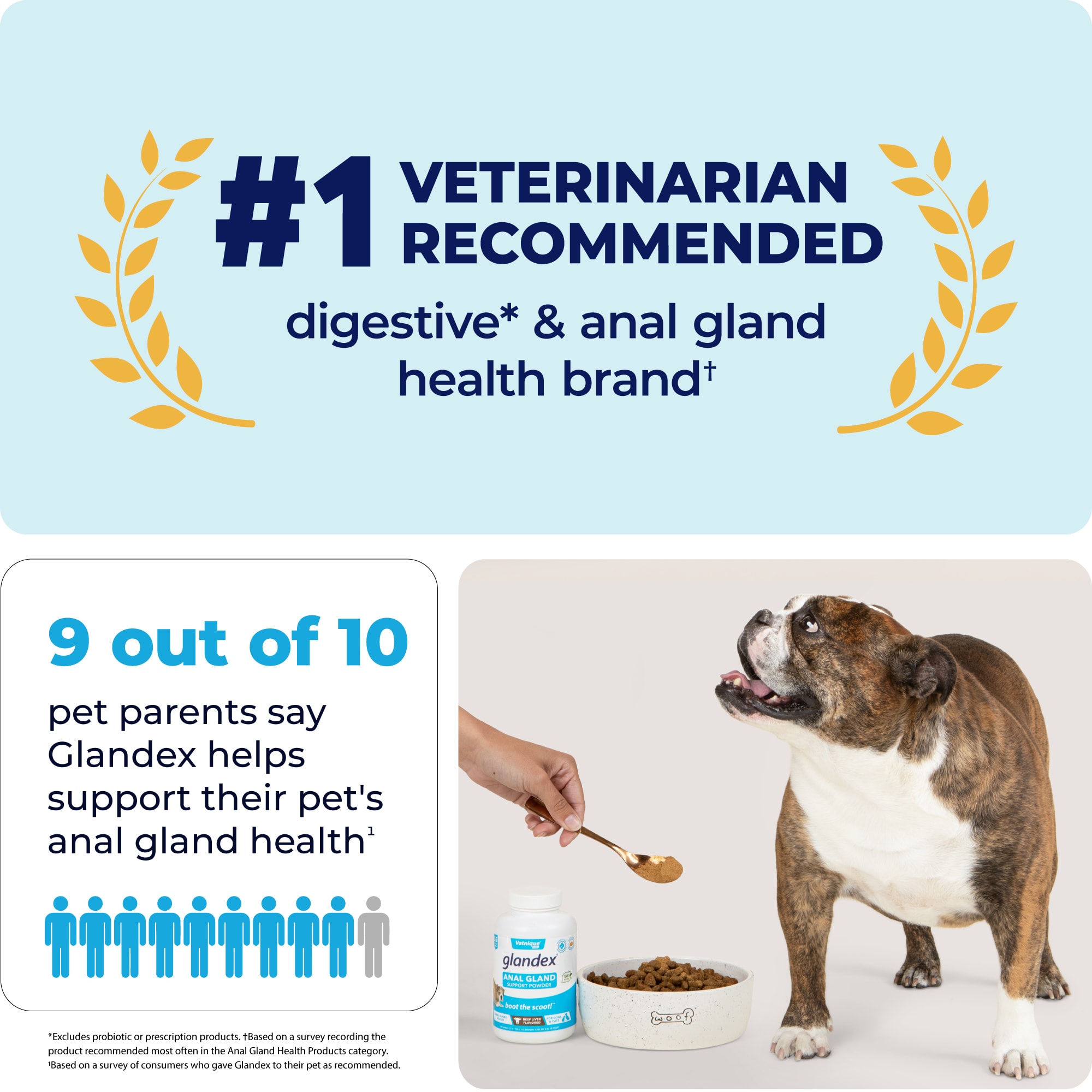 Glandex Anal Gland Support Powder for Dogs Cats Beef Flavor 5.5 oz