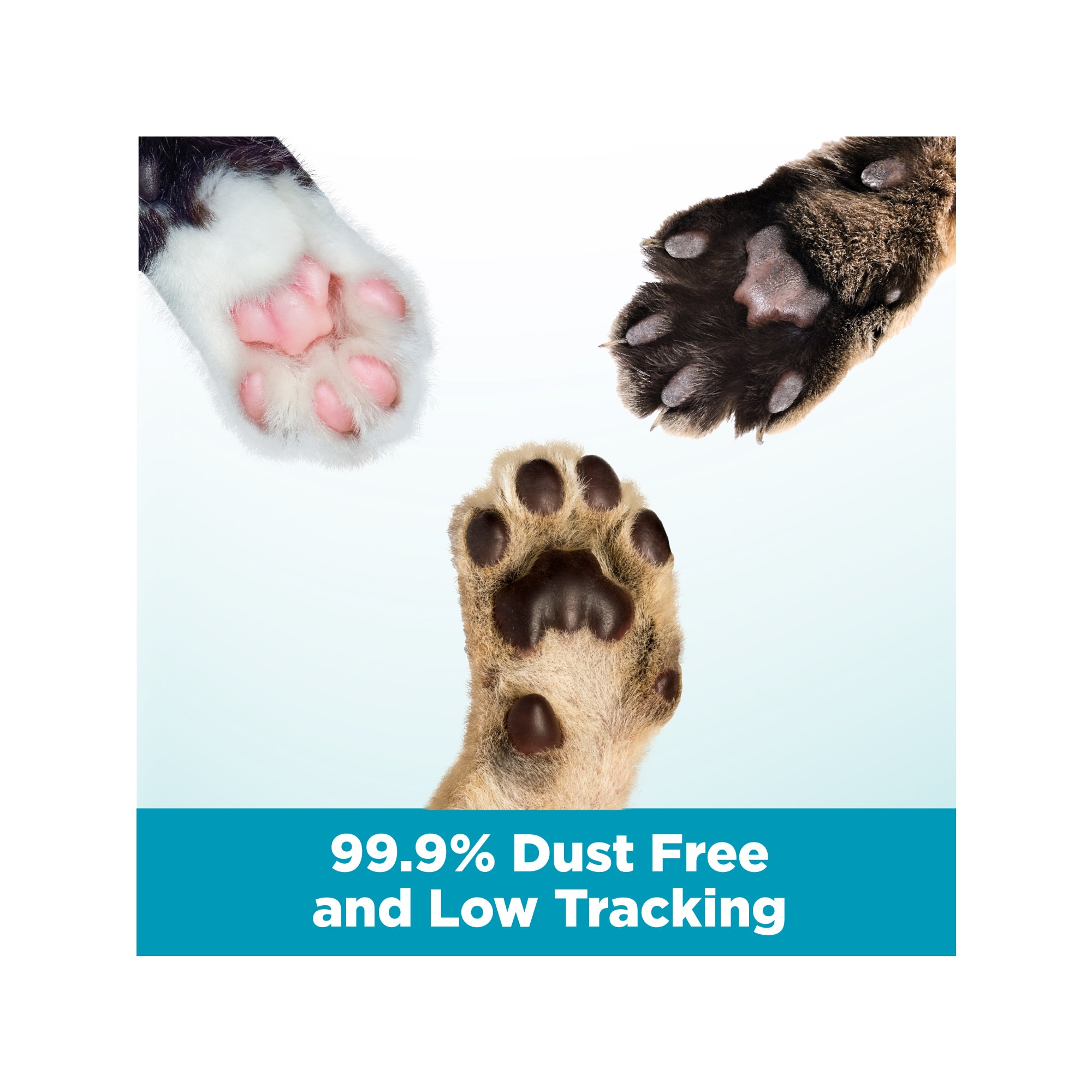 Cloud discount cat litter