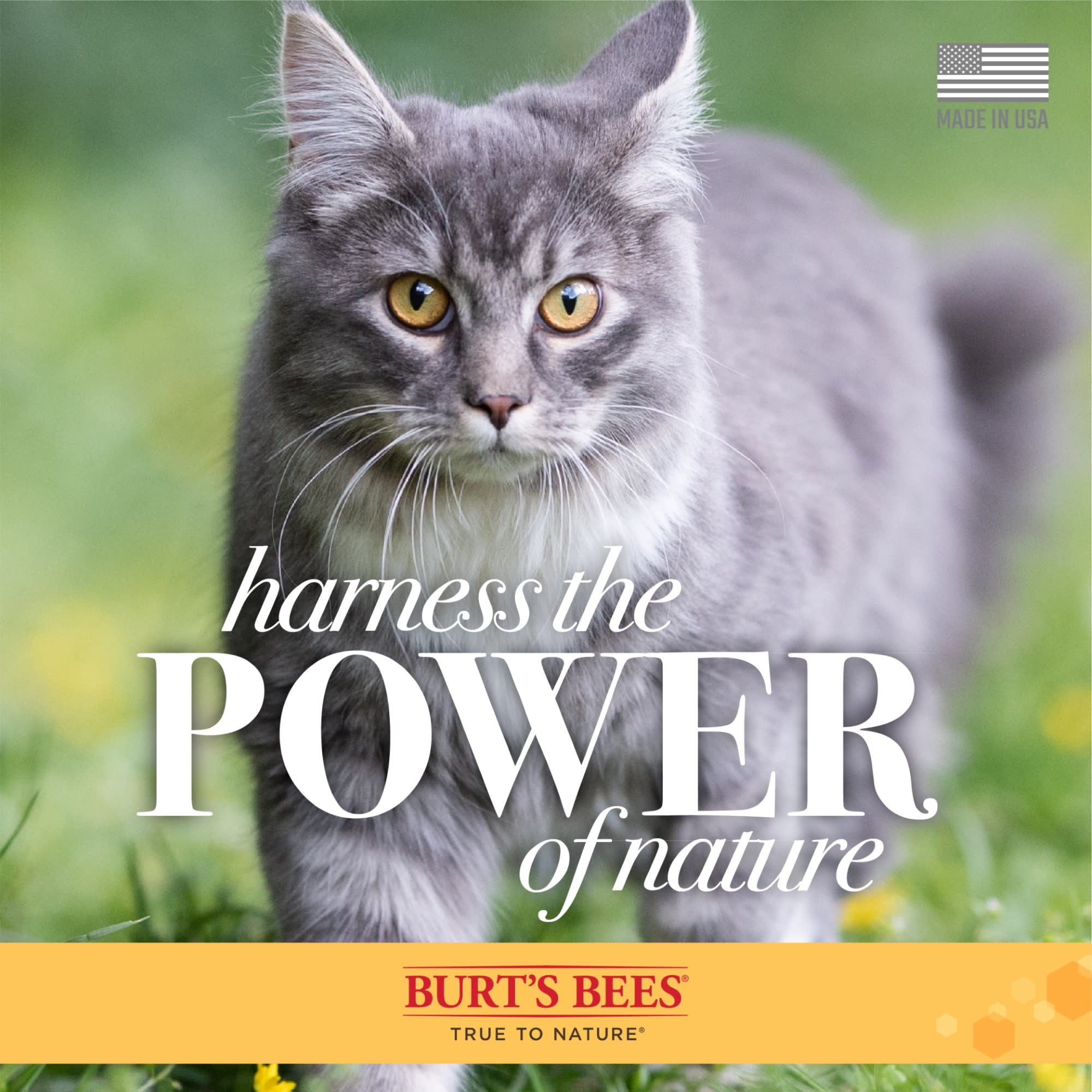 Burt's bees cat dander wipes sale