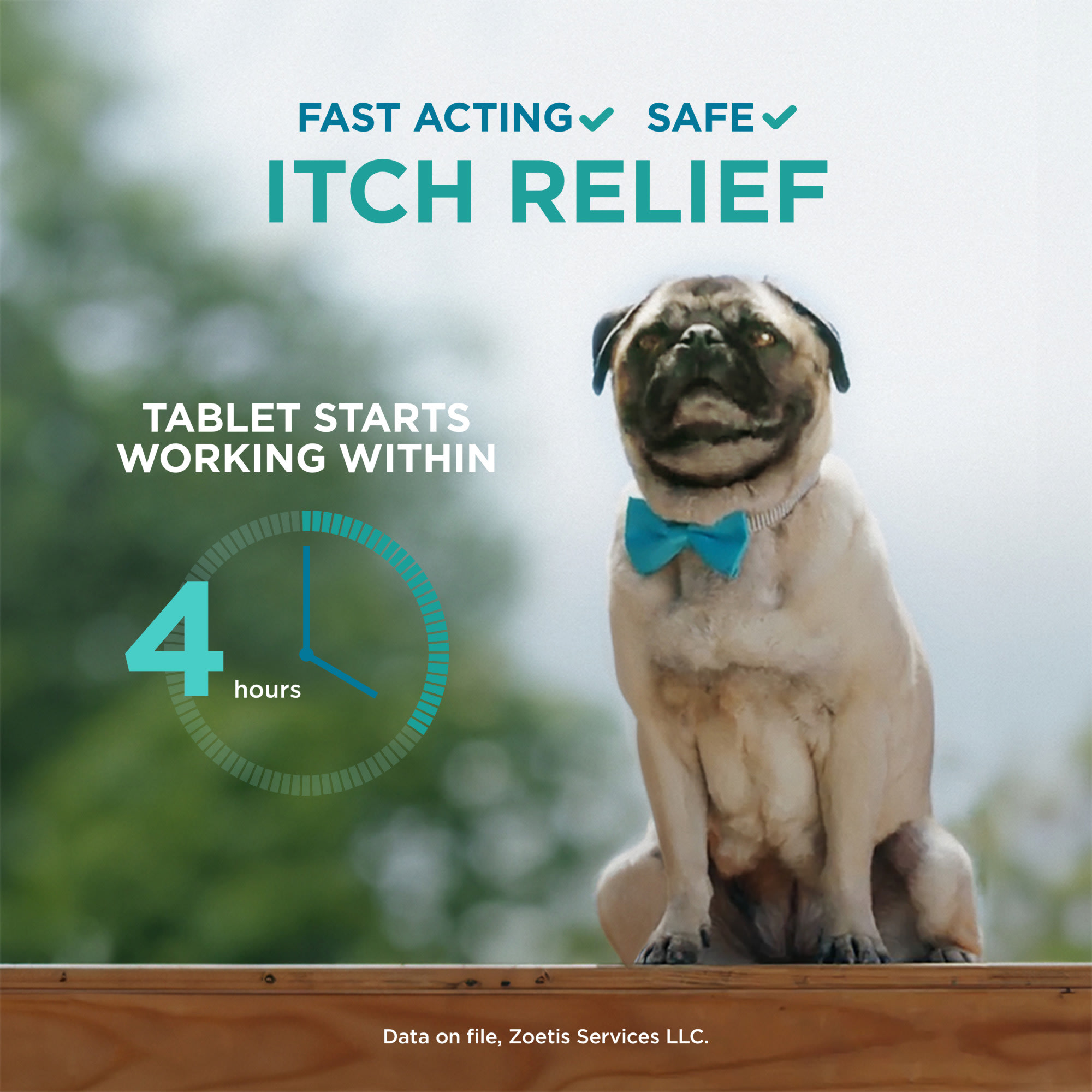 Apoquel Oclacitinib Allergy Medicine for Pets Petco