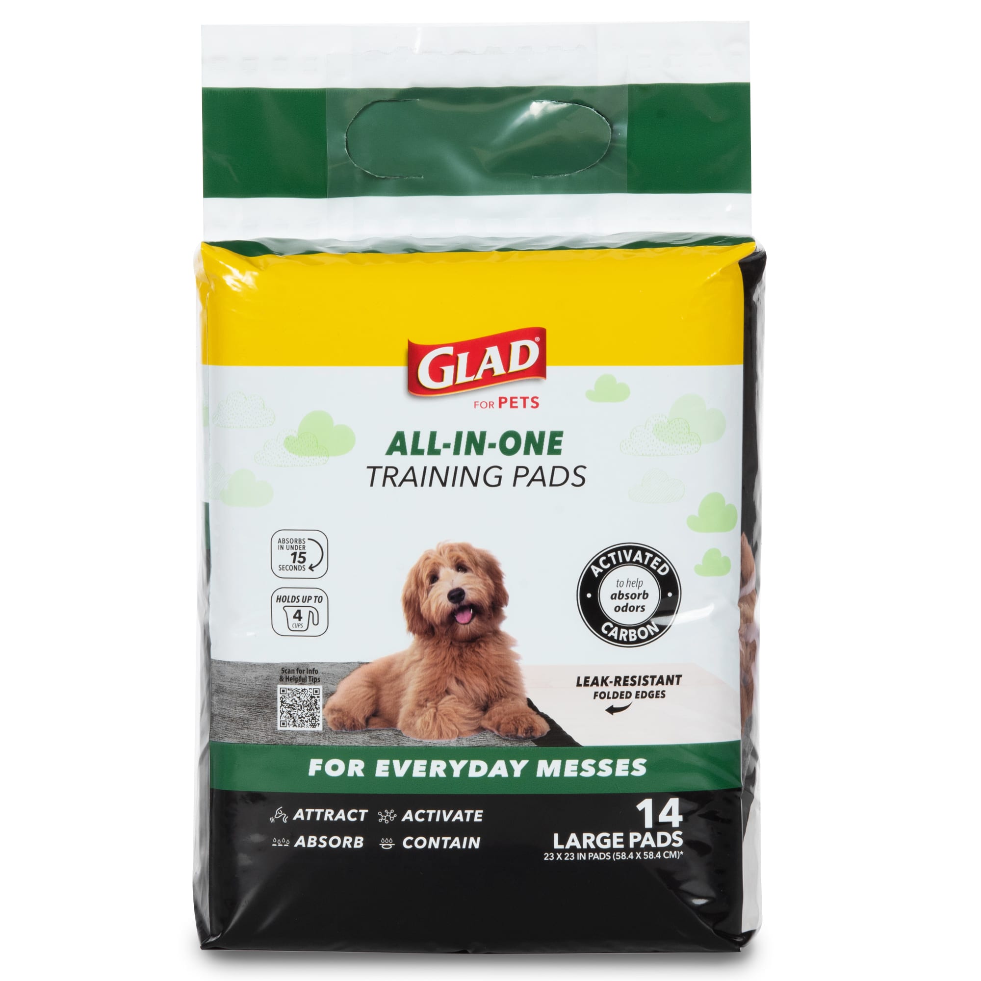 Train older dog best sale to use pee pad