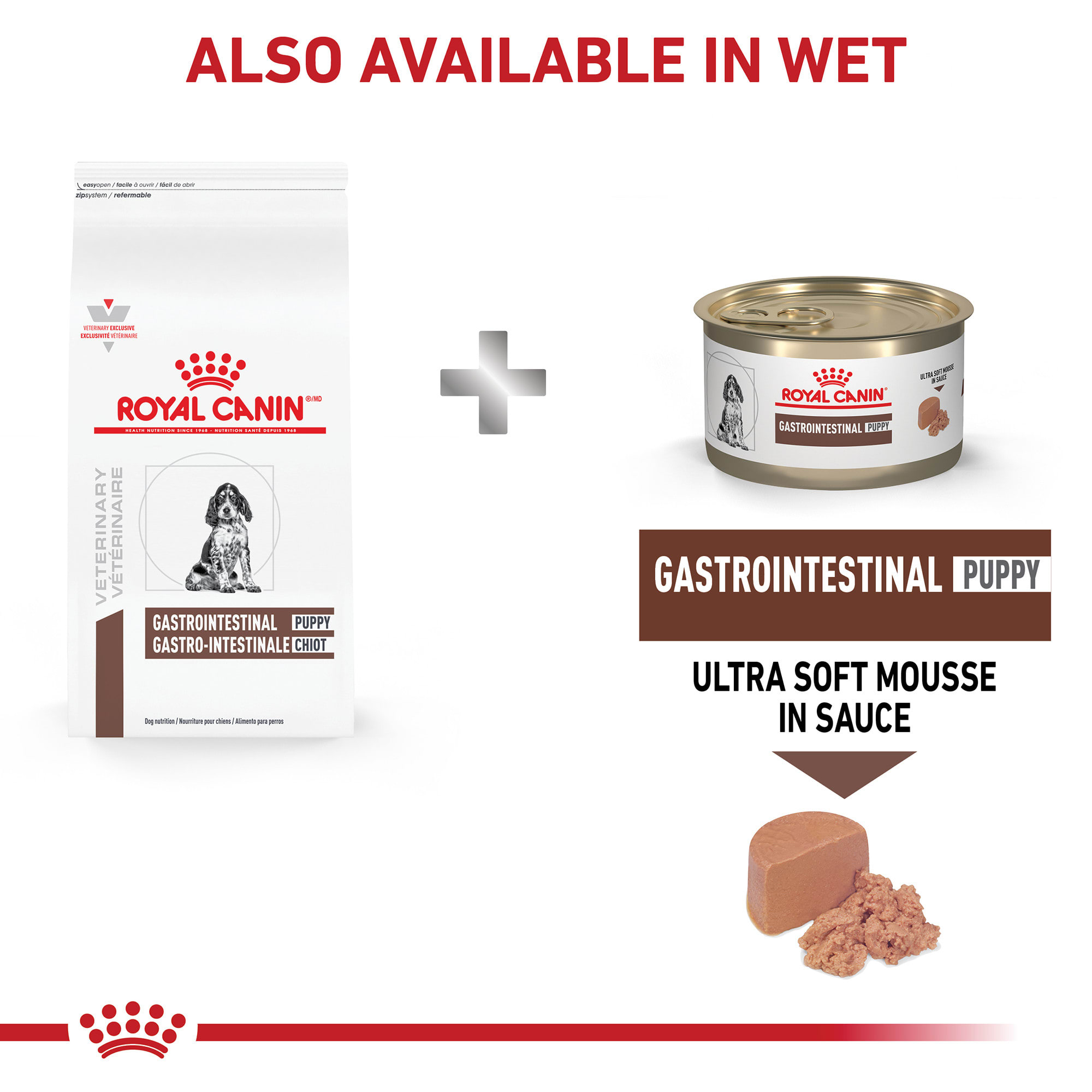 Royal canin gastrointestinal sales petco