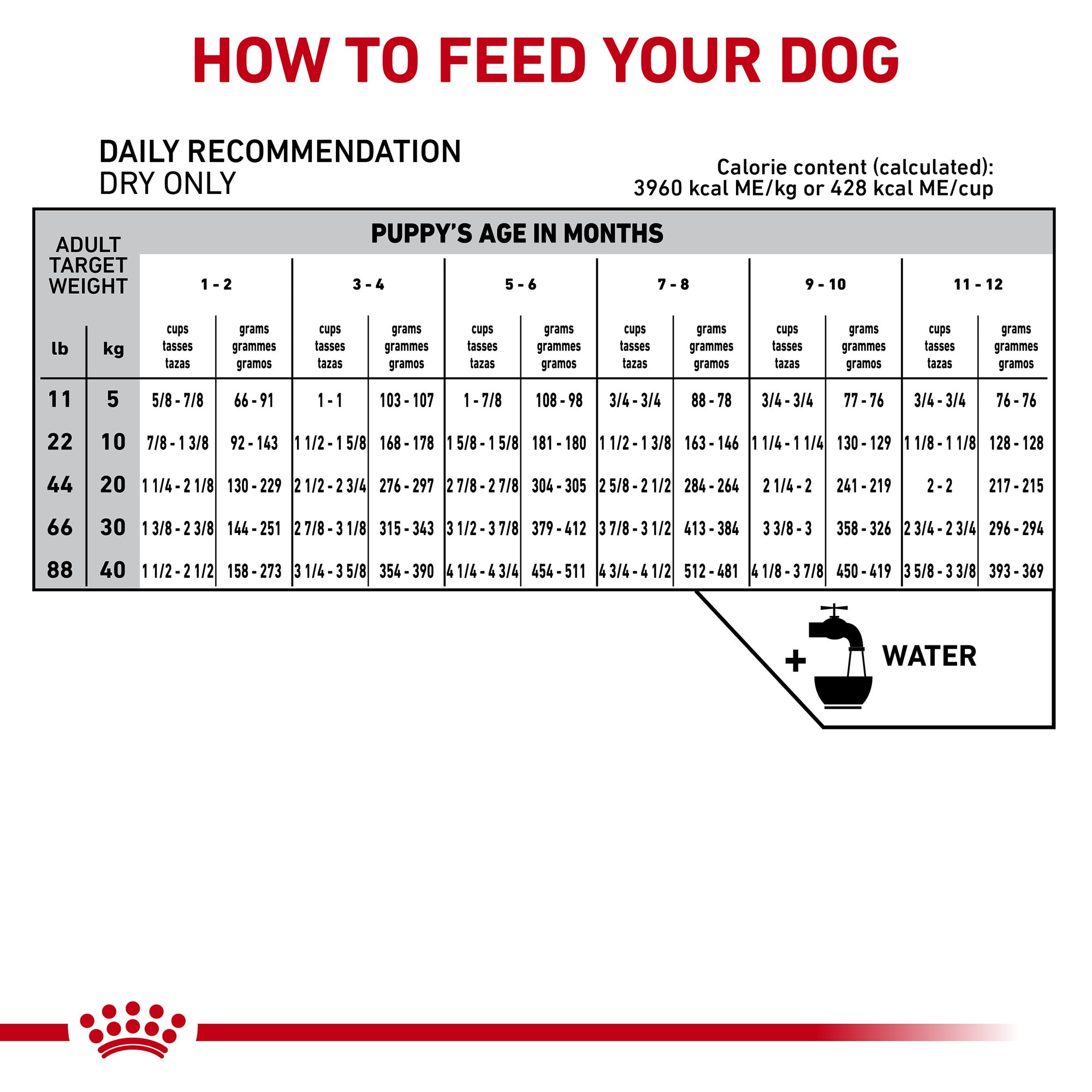 Royal canin 2024 gi puppy