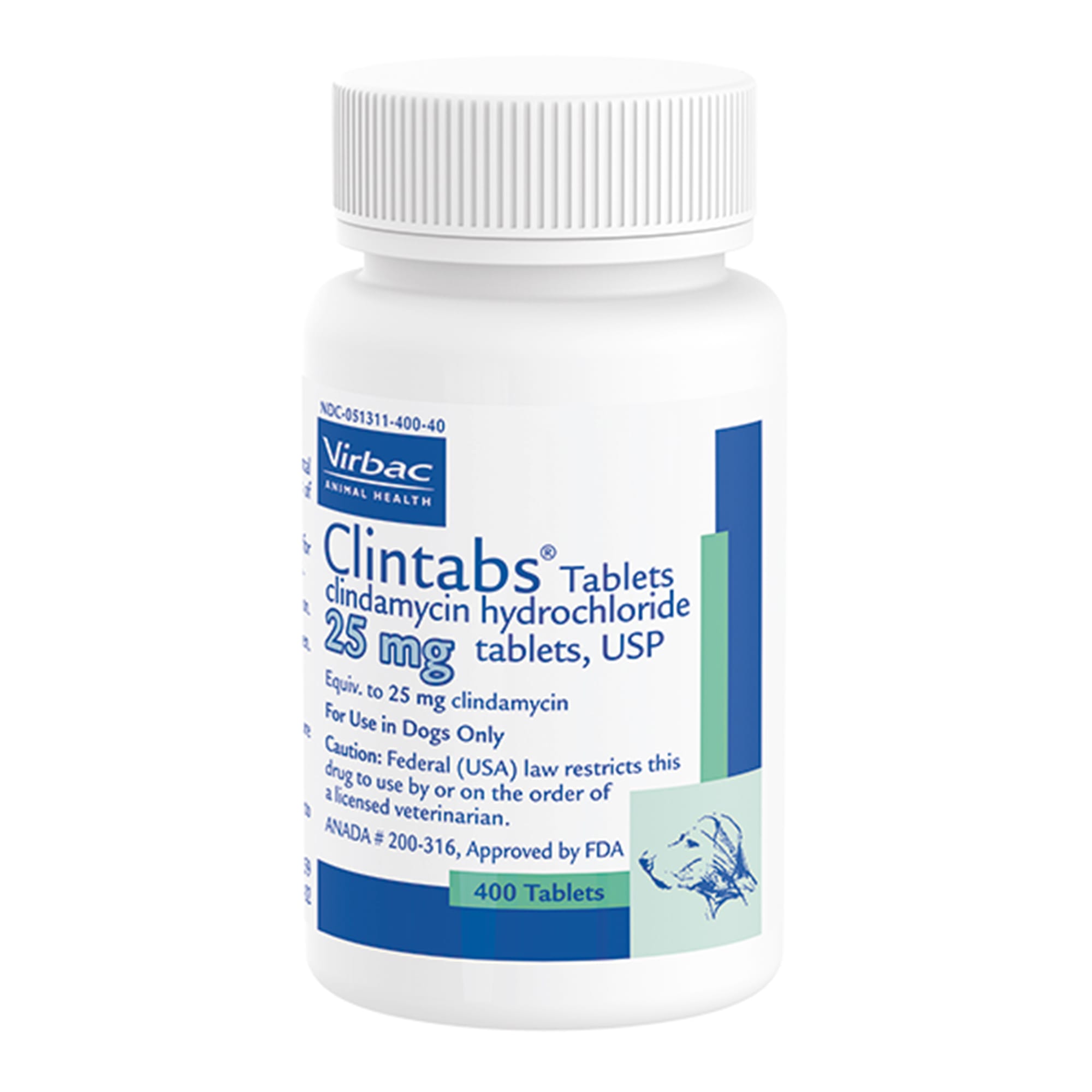 clindamycin dosage for dogs skin infection